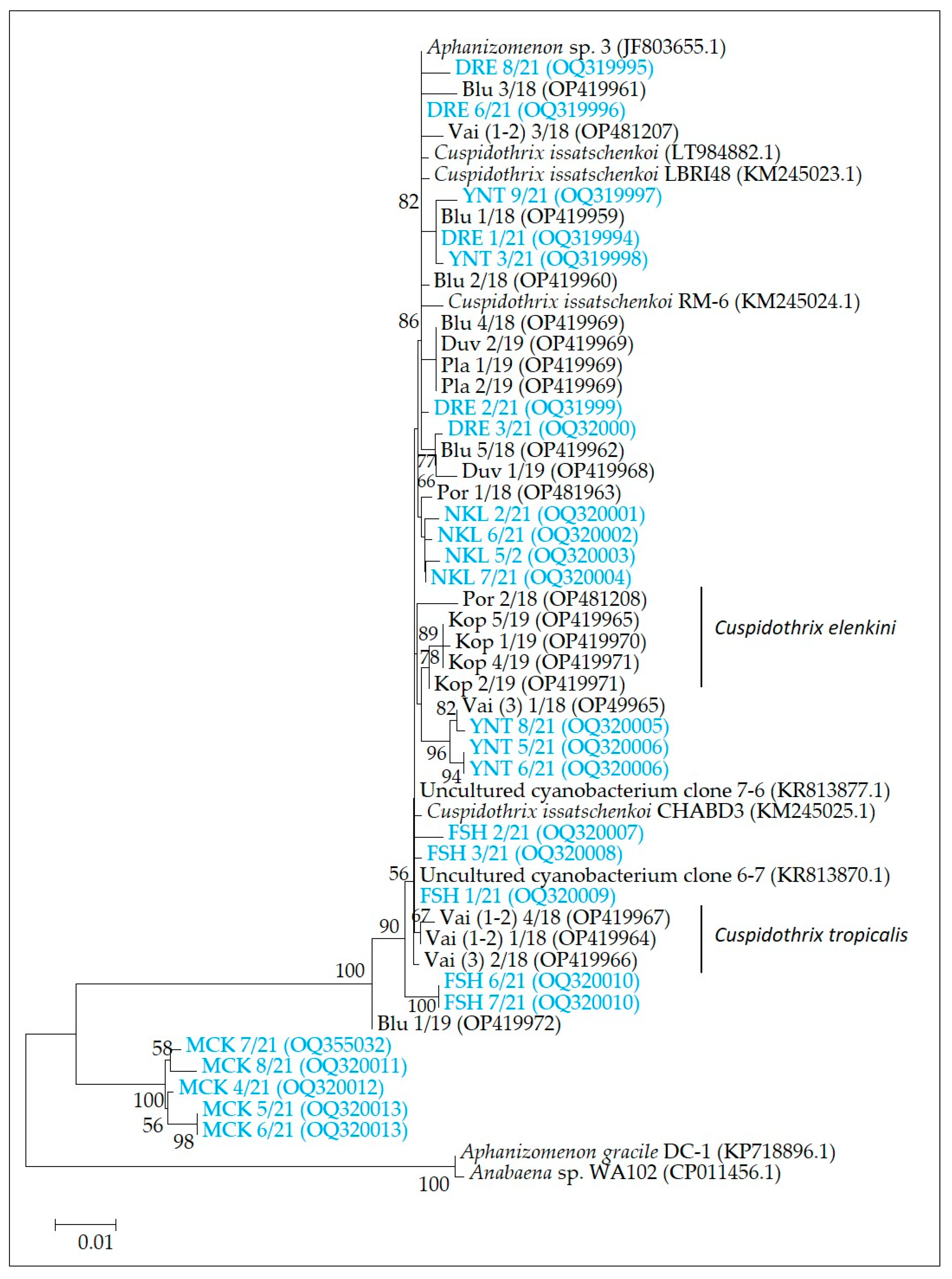 Diversity 15 00472 g008 Diversity 15 00472 g008