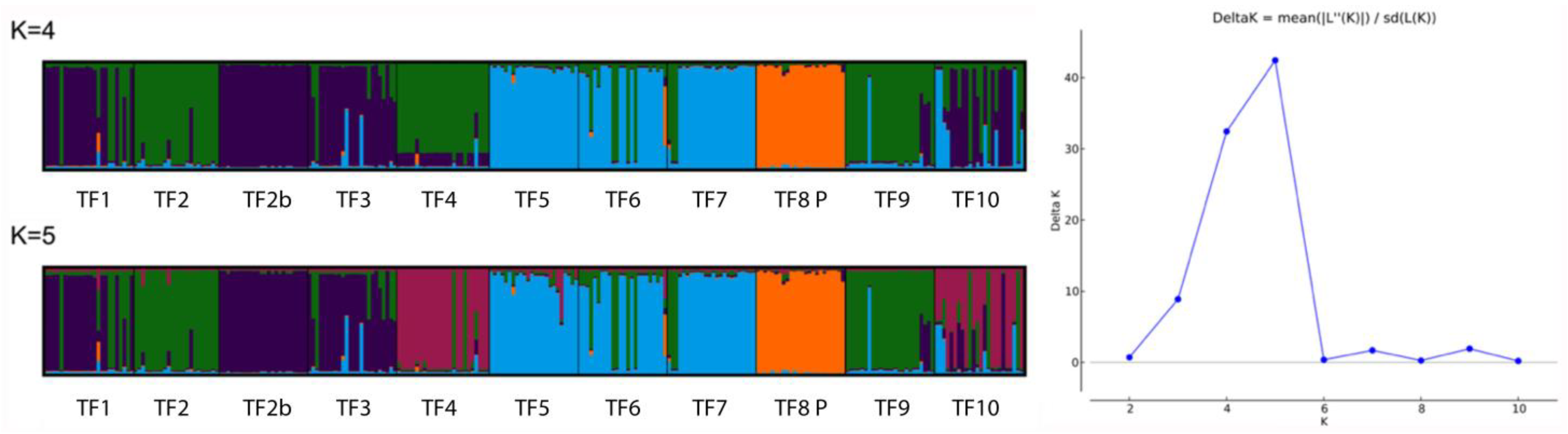 Diversity 15 00473 g004