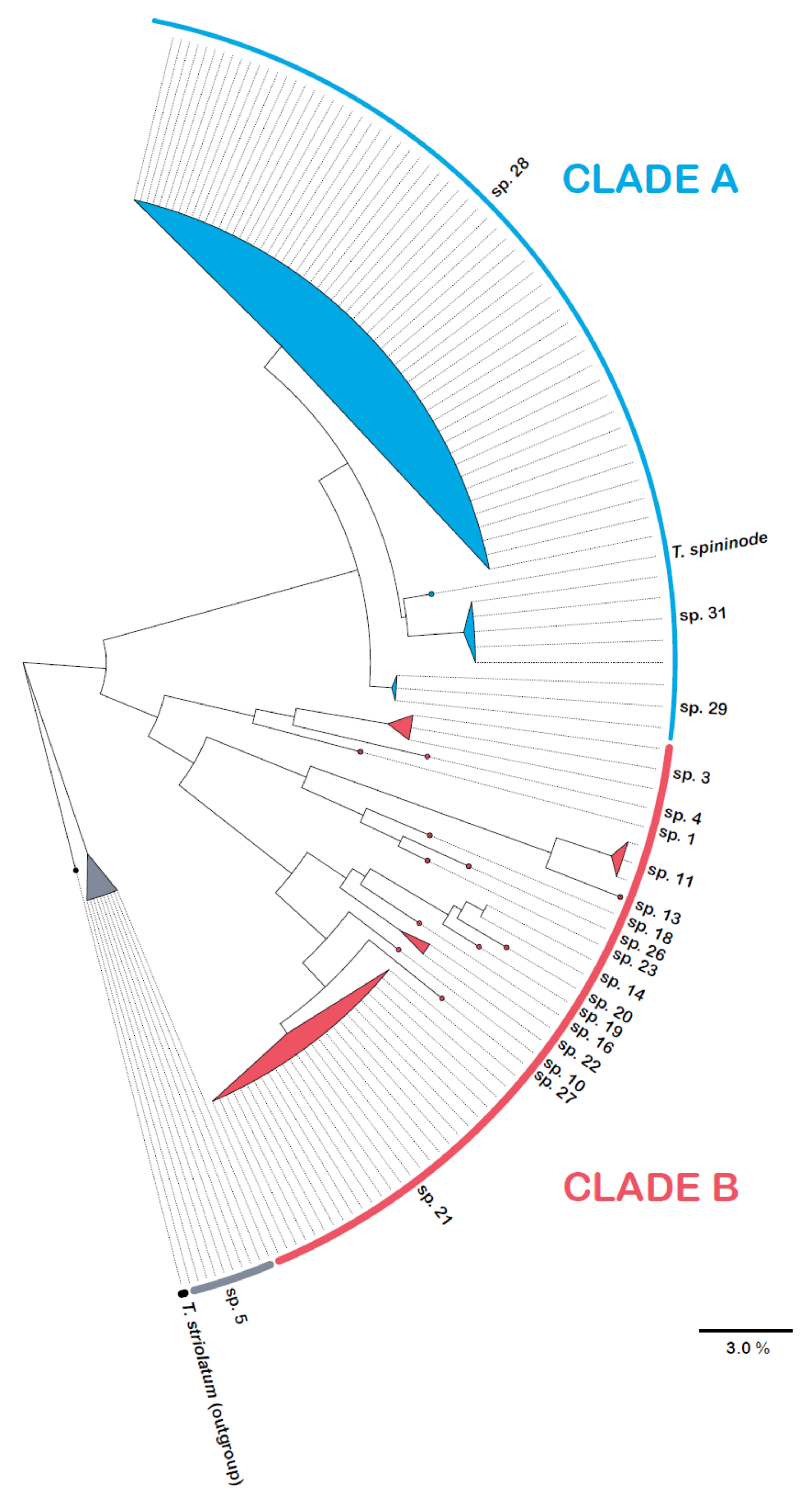 Diversity 15 00476 g007 Diversity 15 00476 g007