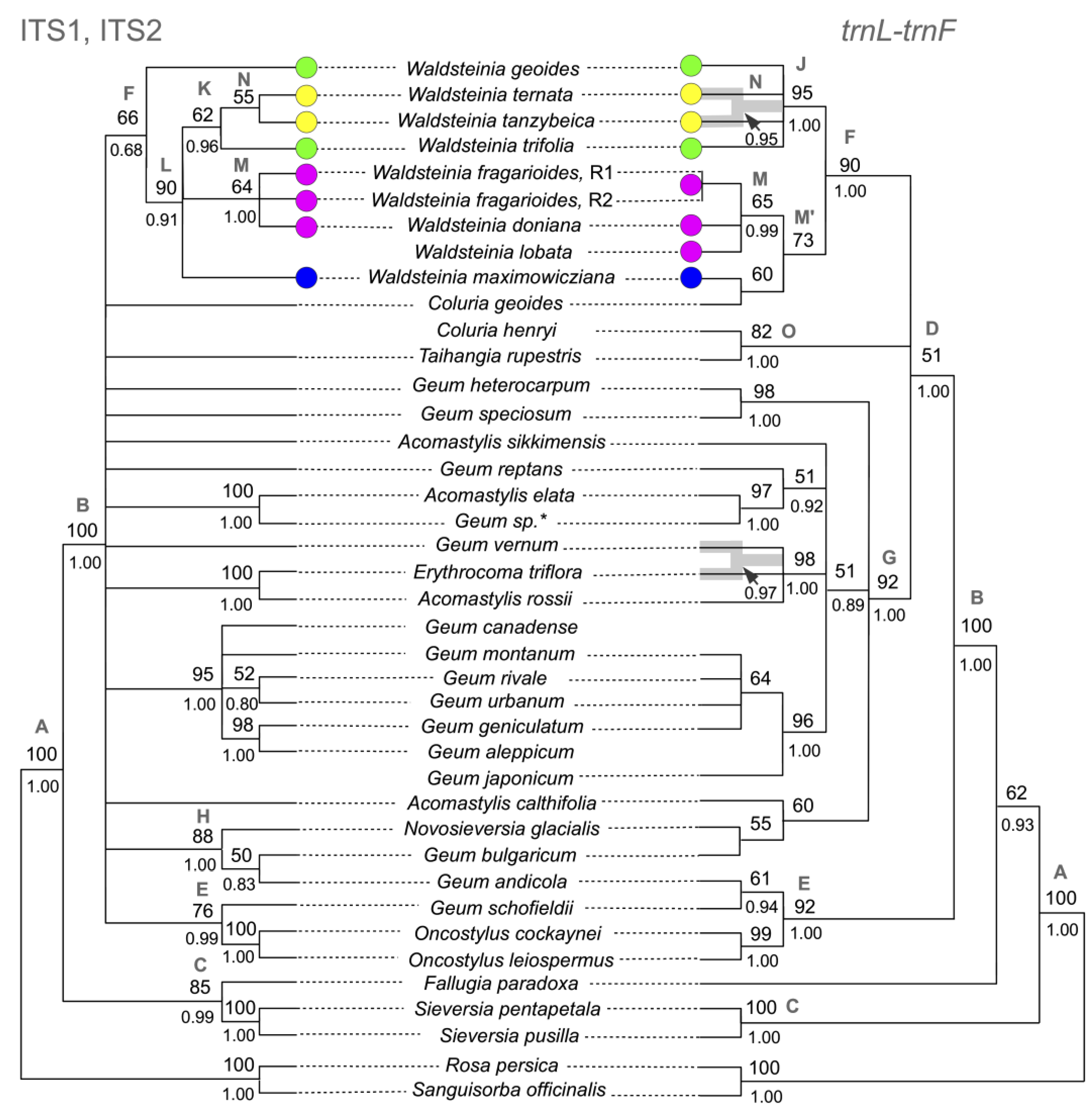 Diversity 15 00479 g001