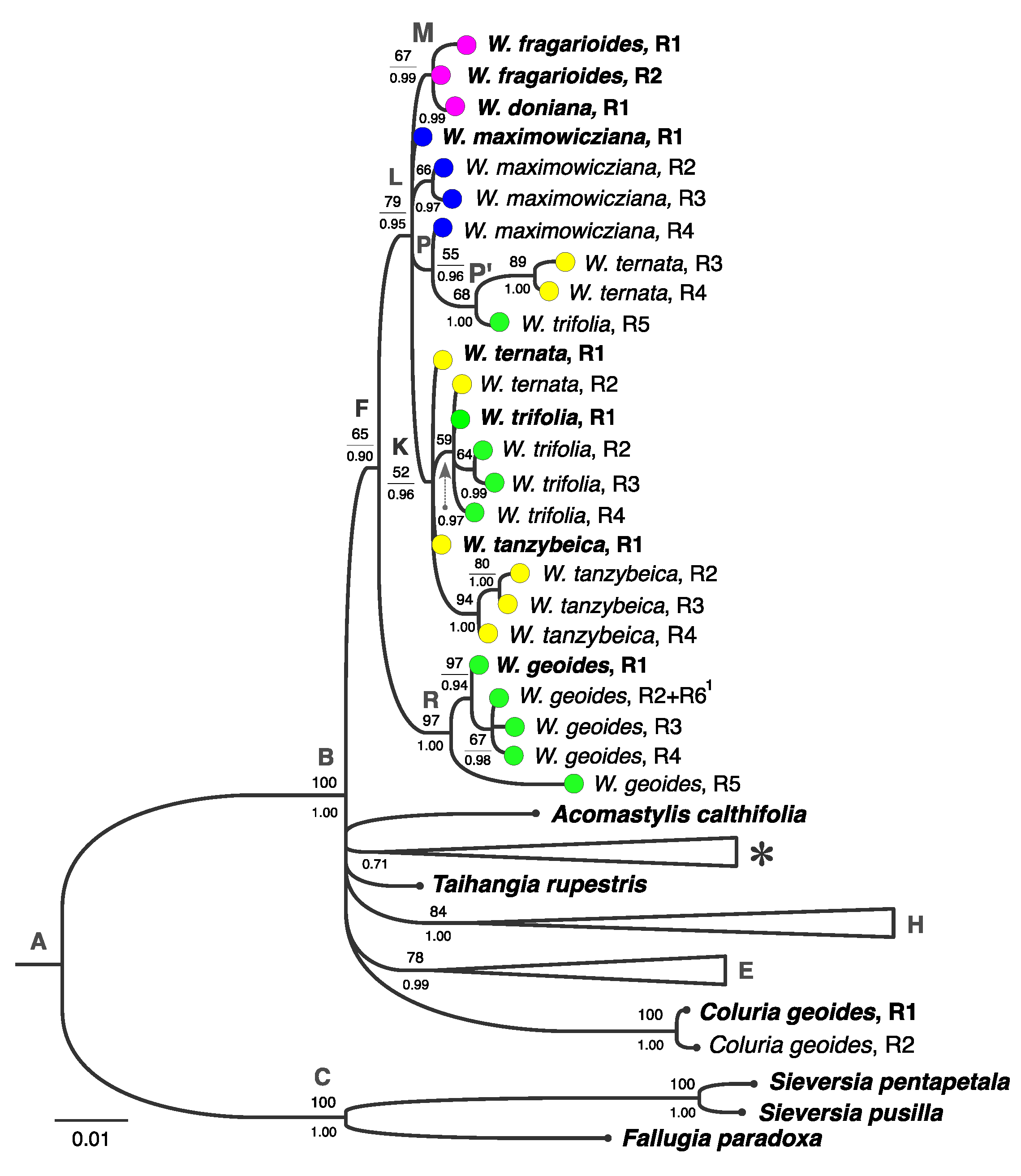 Diversity 15 00479 g002