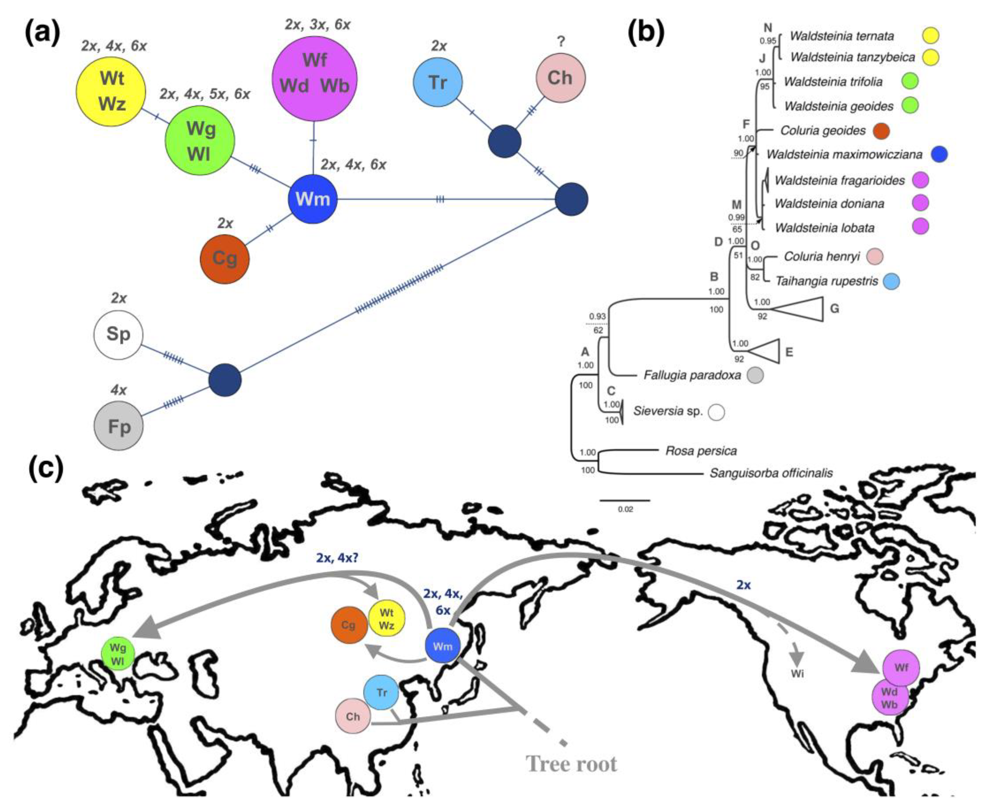 Diversity 15 00479 g005