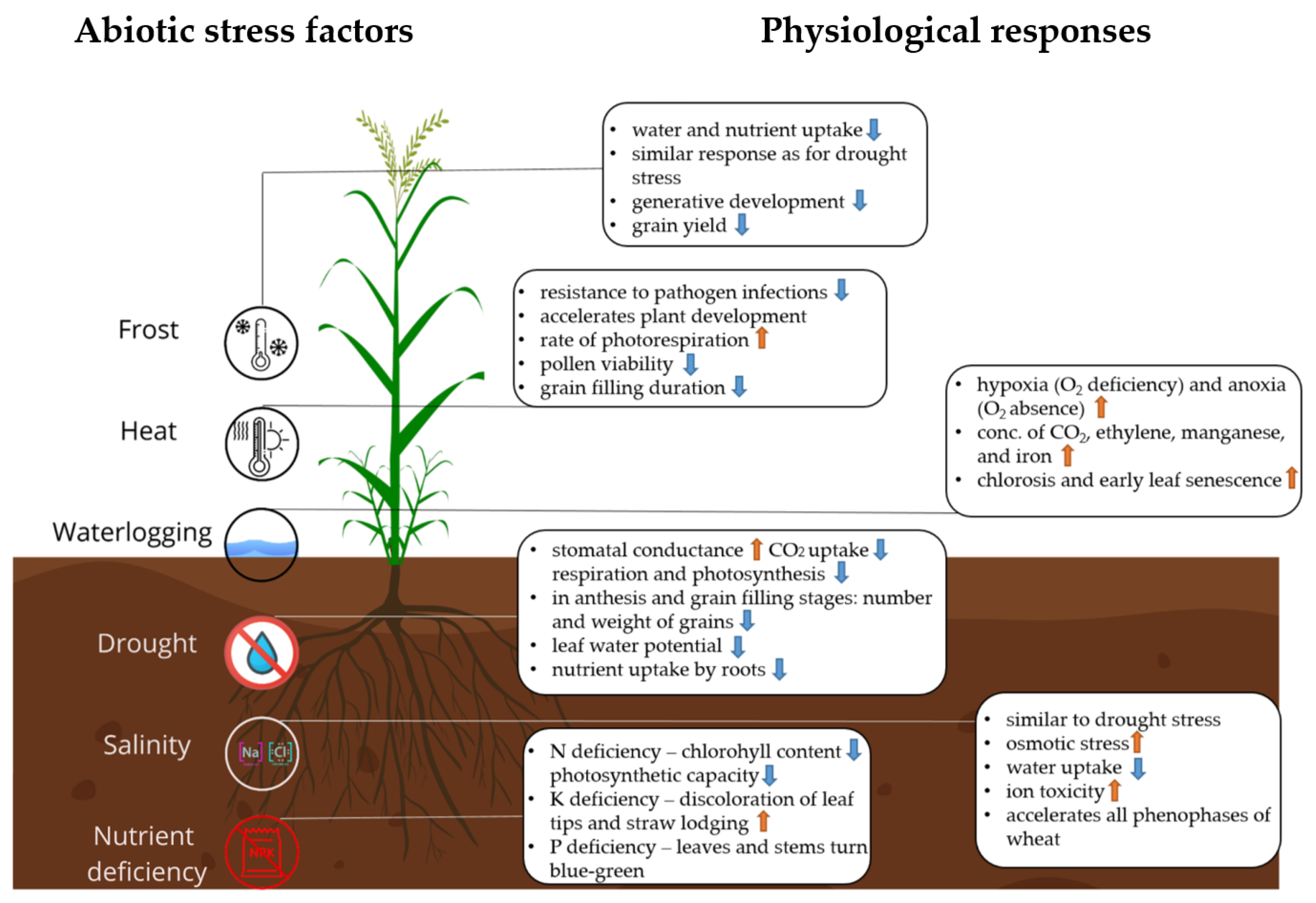 Diversity 15 00481 g001