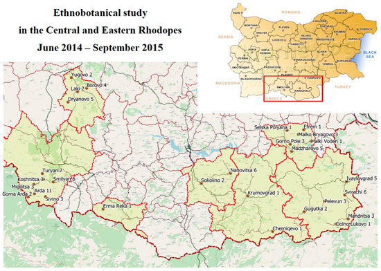 Ethnobotanical and Ethnopharmacological Study in the Bulgarian Mountain ...