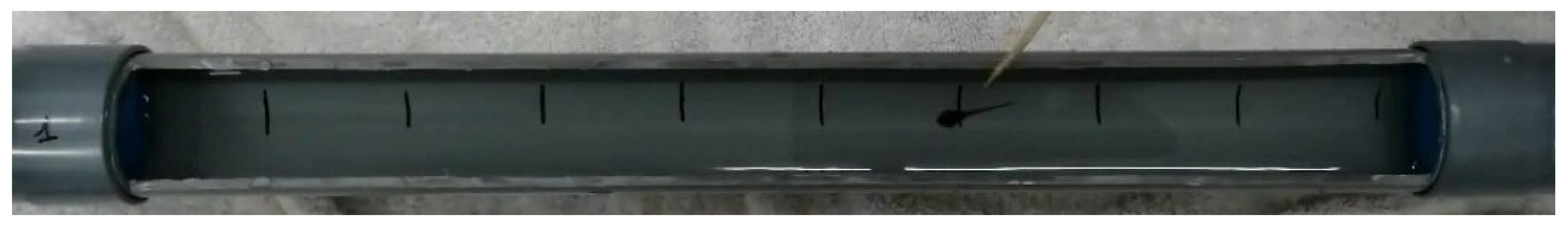 Diversity 15 00485 g002