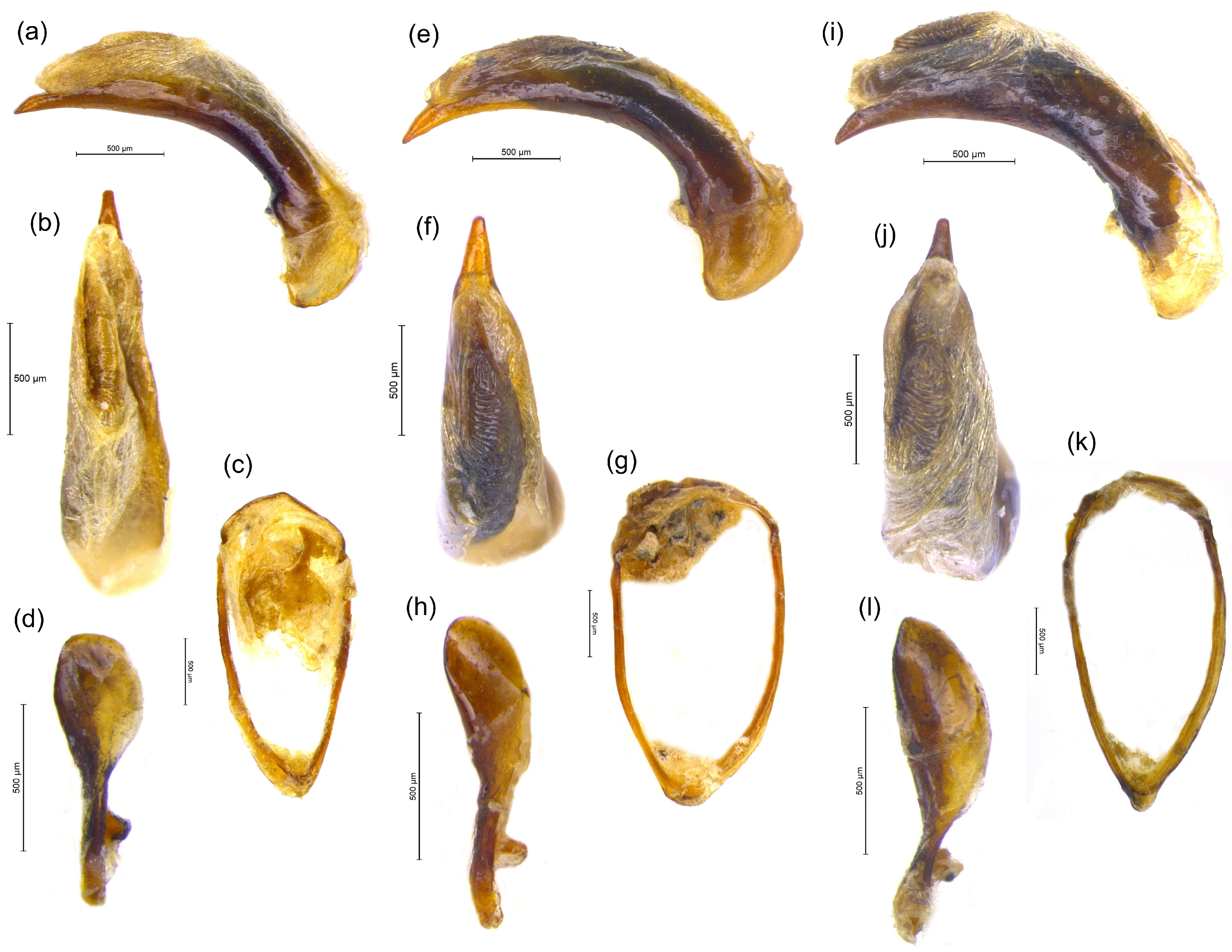 Diversity 15 00493 g012