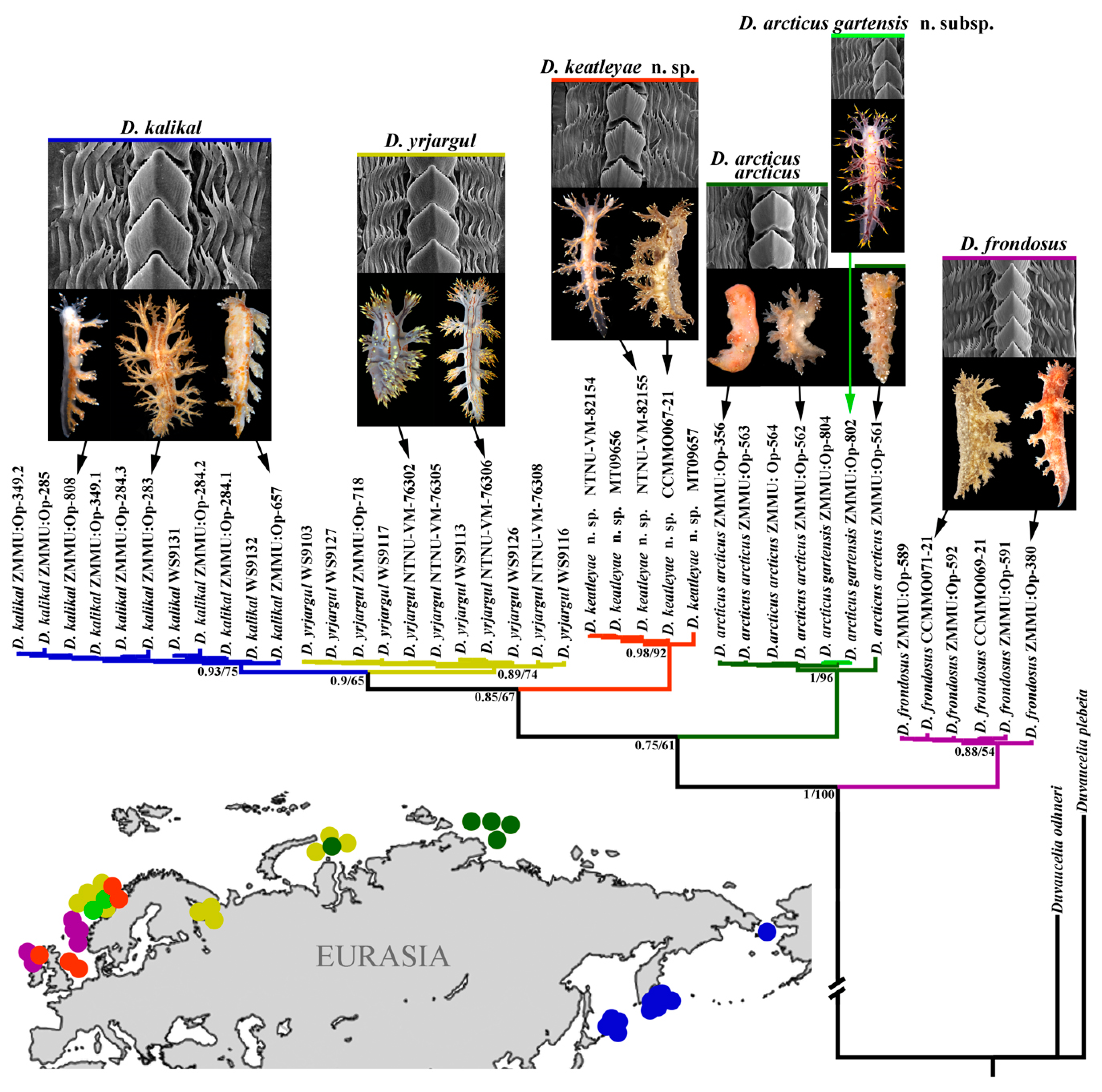 Diversity 15 00504 g006 Diversity 15 00504 g006