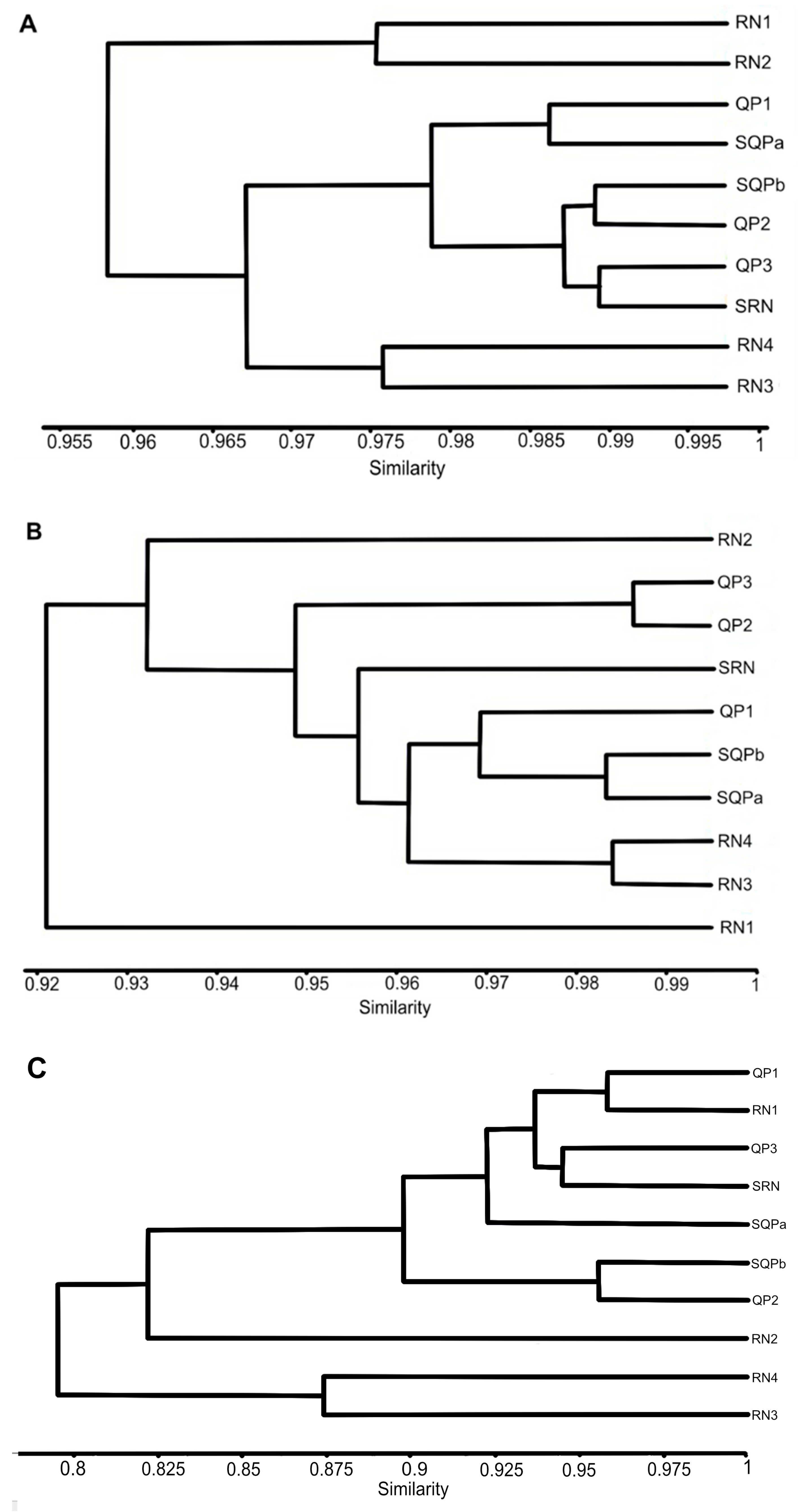 Diversity 15 00508 g007
