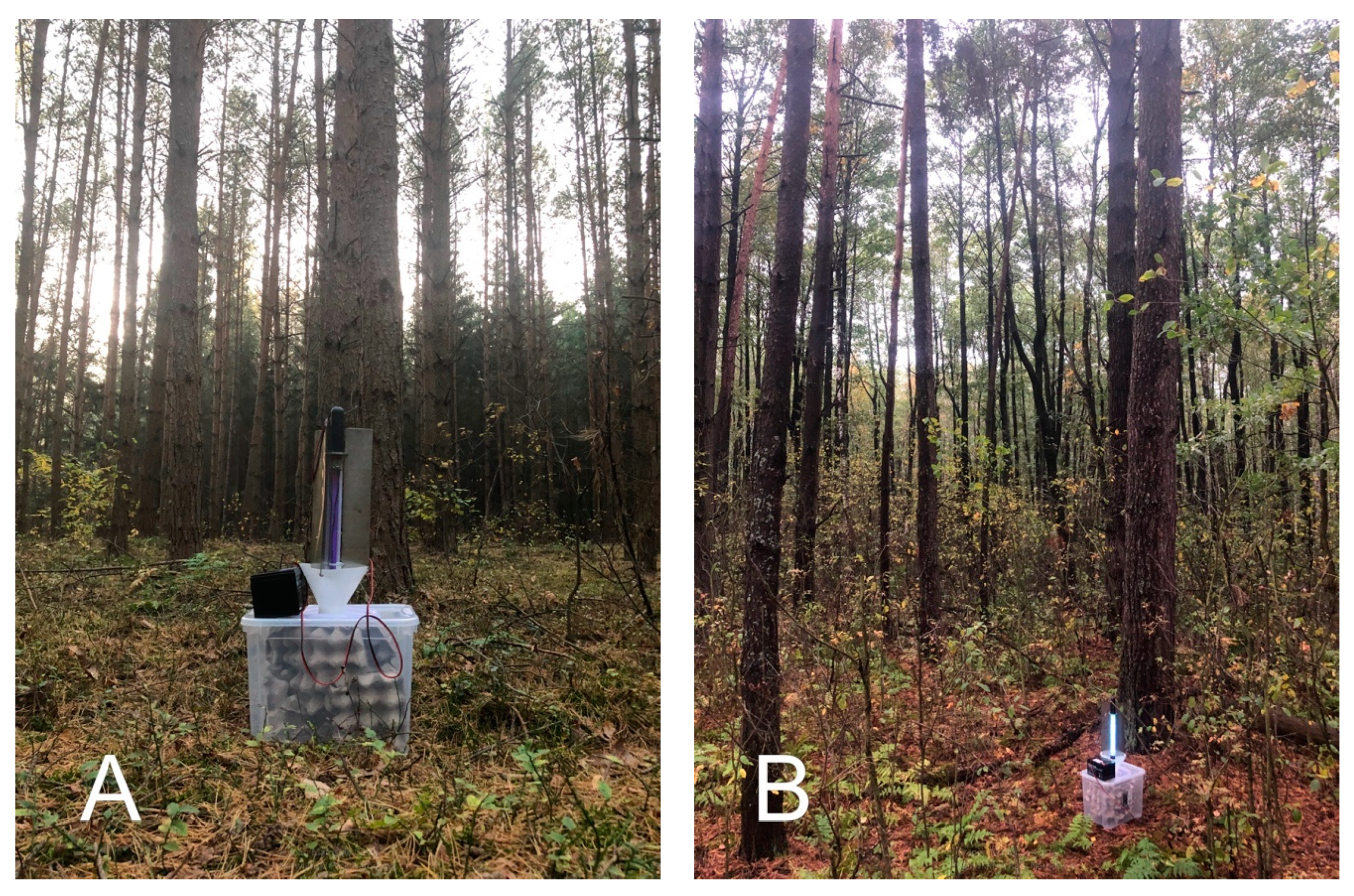 Diversity 15 00508 g0a1a