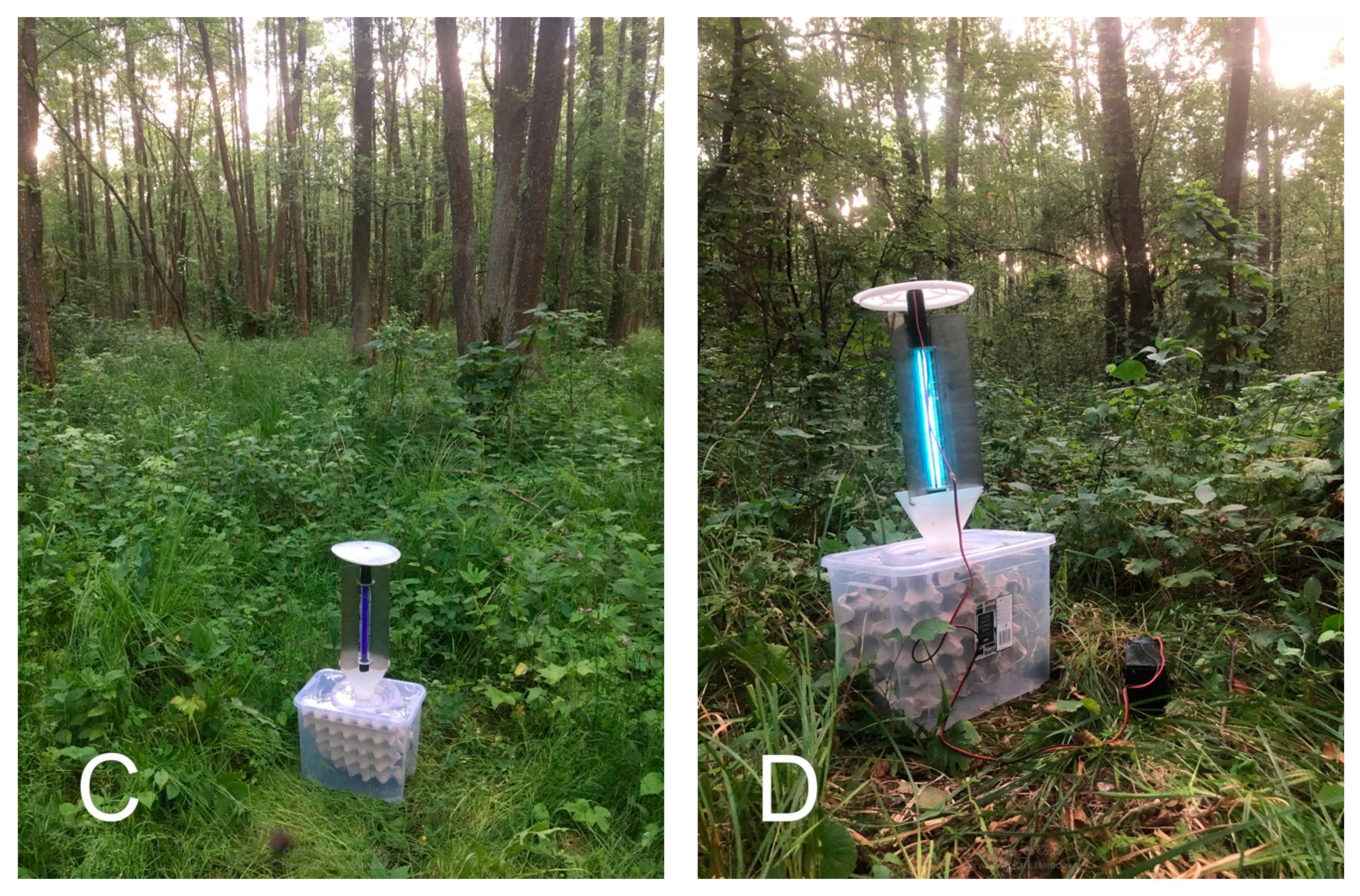 Diversity 15 00508 g0a1b