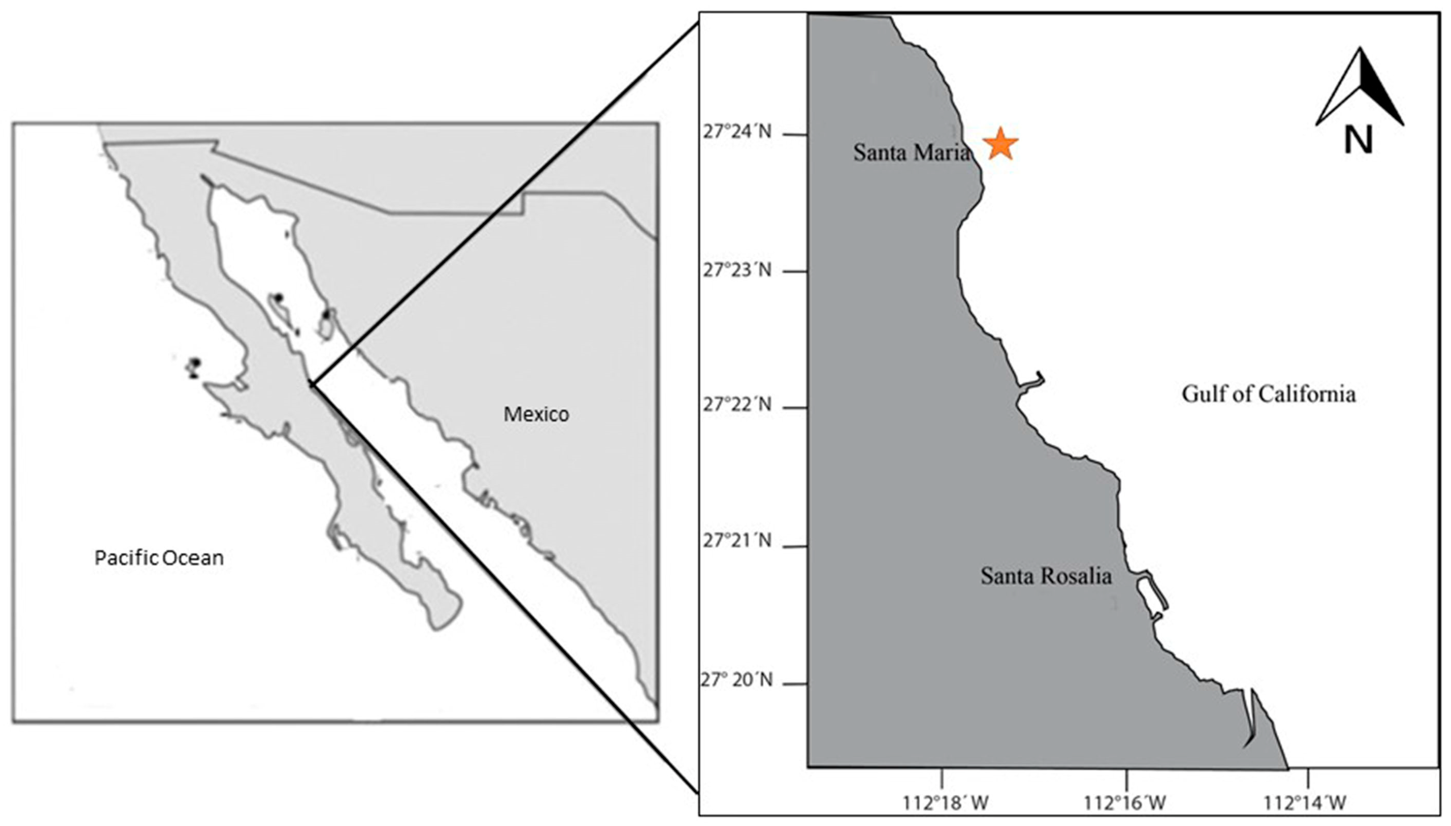 Diversity 15 00510 g001