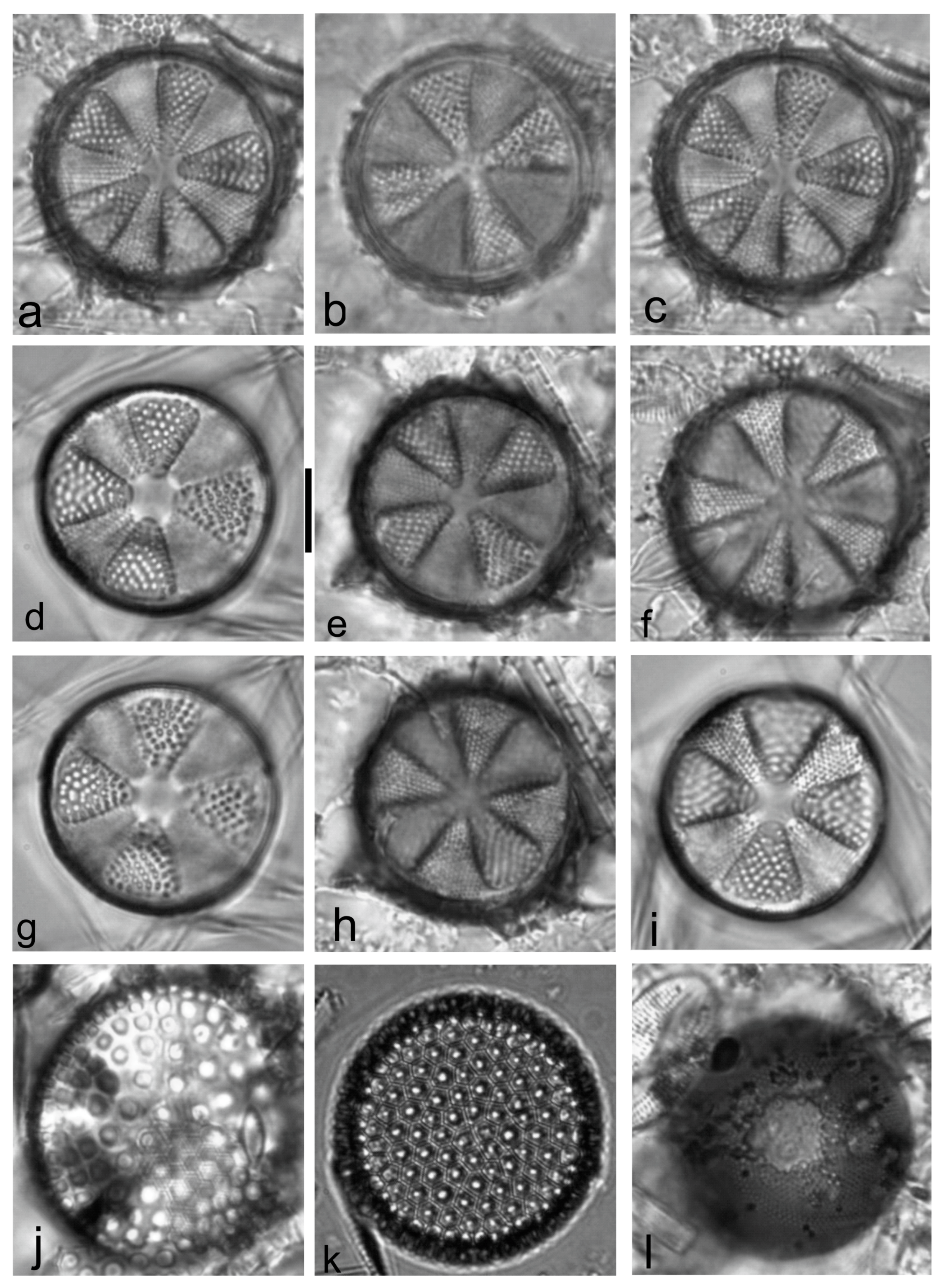 Diversity 15 00510 g0a41