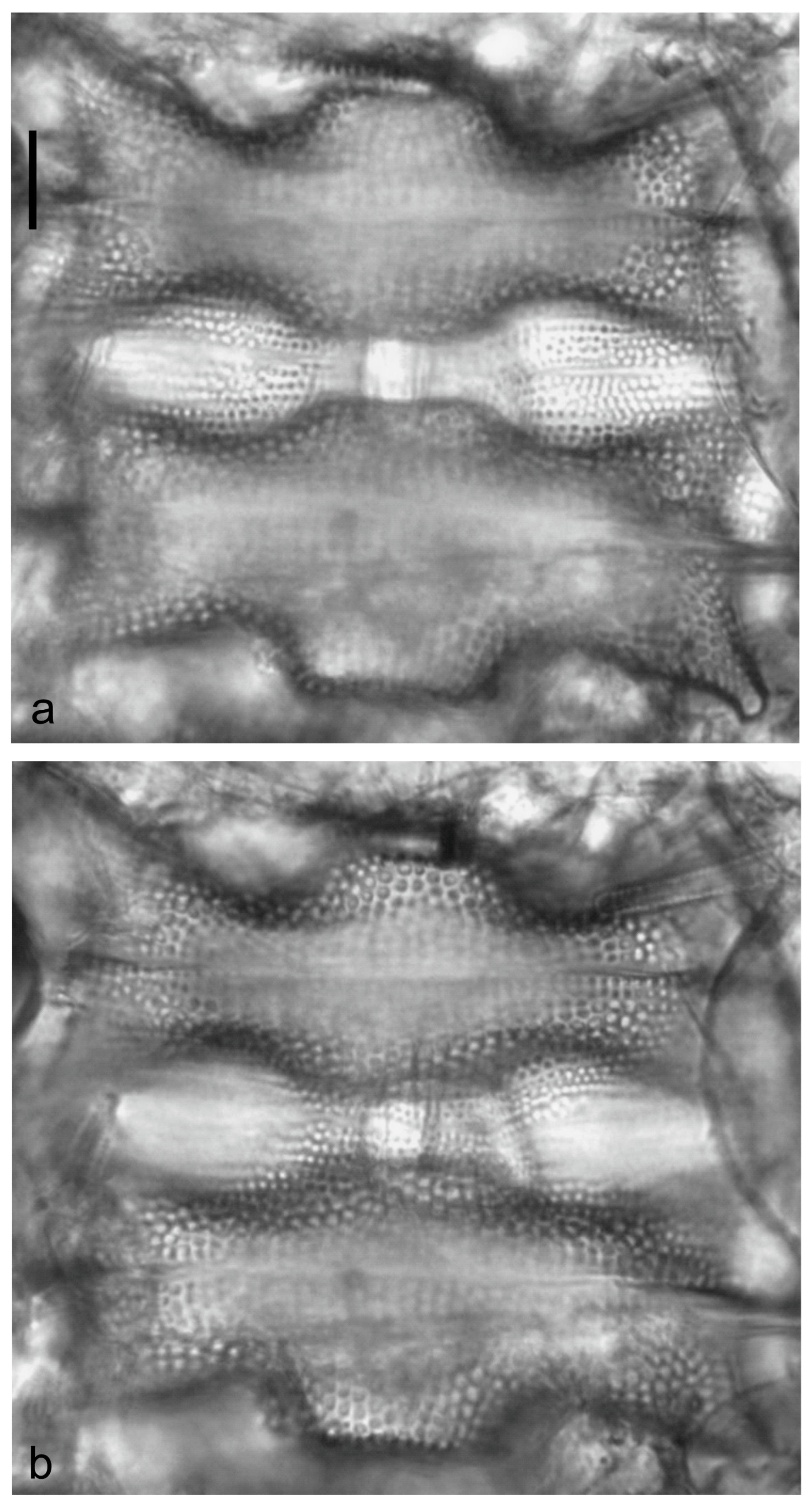 Diversity 15 00510 g0a50
