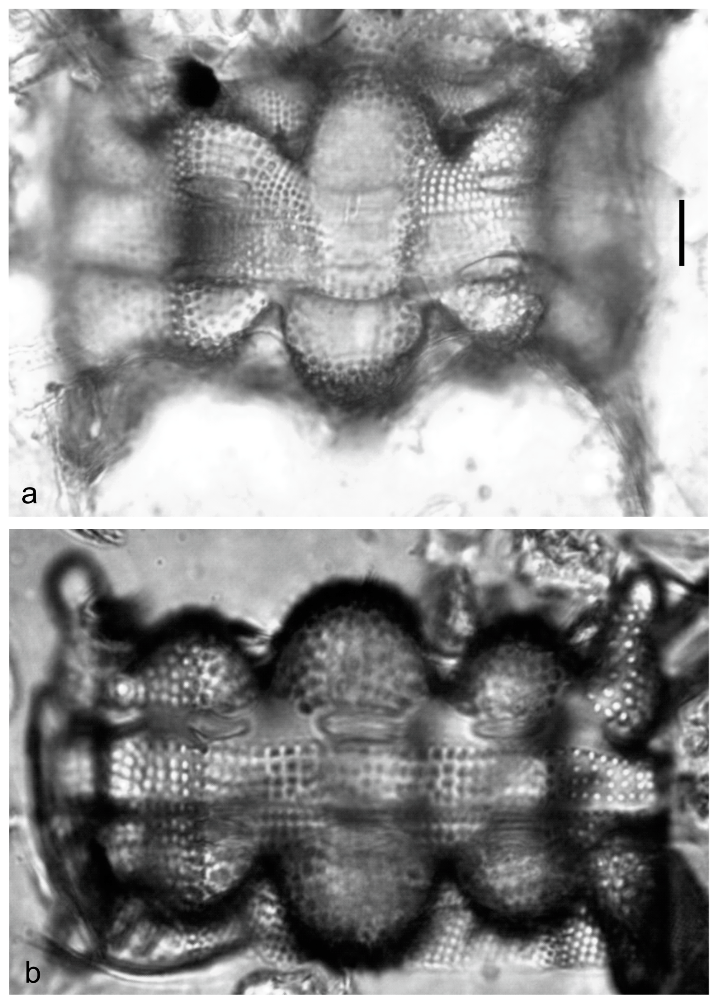 Diversity 15 00510 g0a51