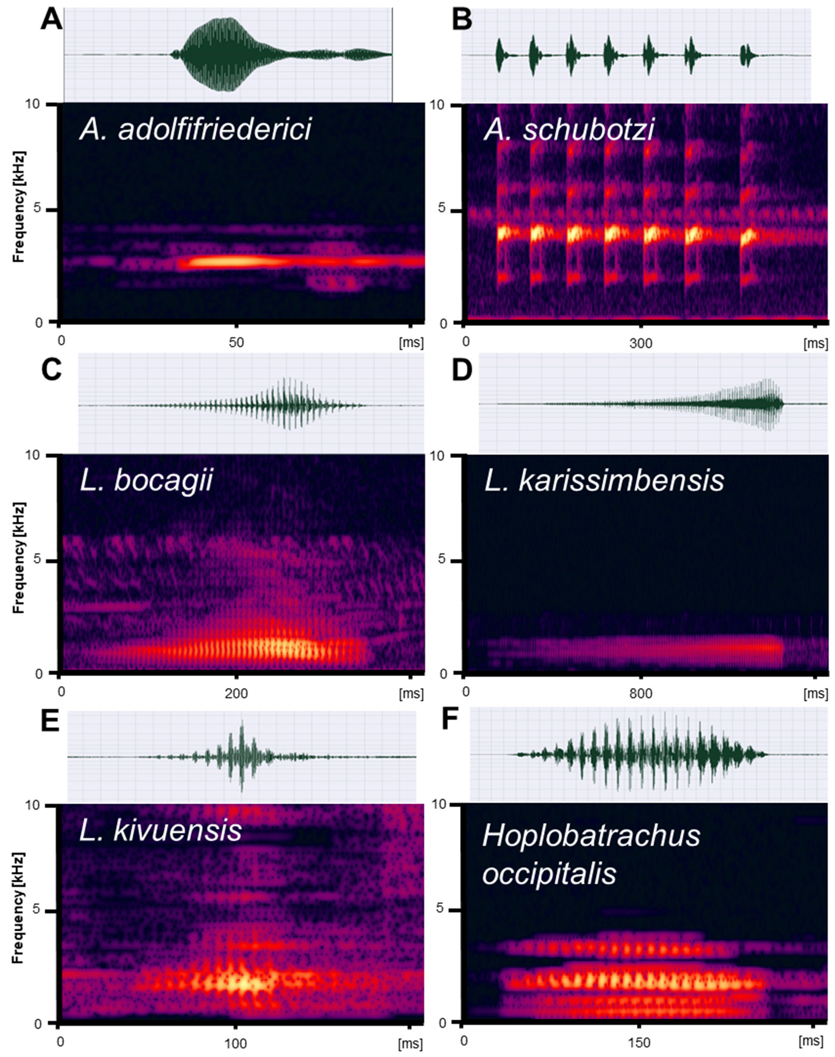 Diversity 15 00512 g003