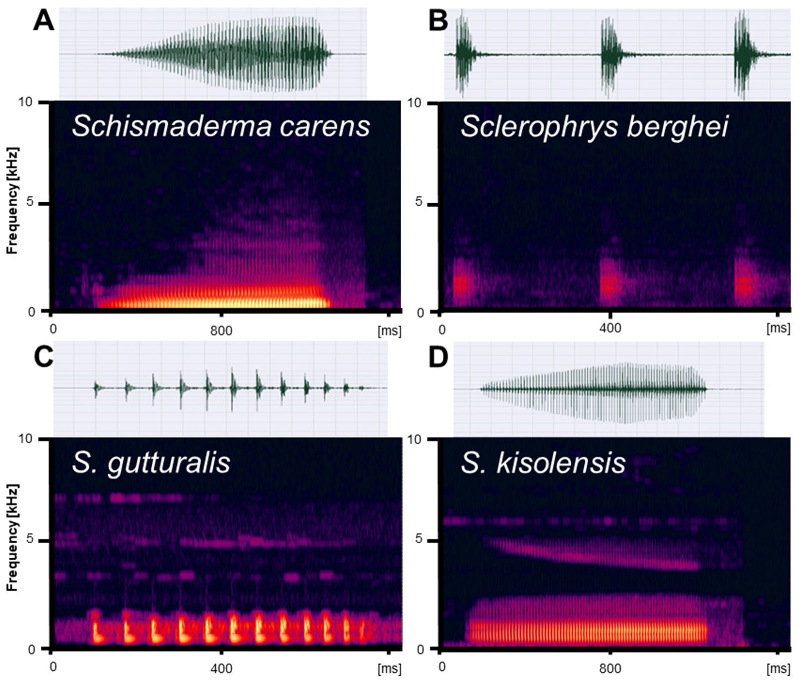 Diversity 15 00512 g005
