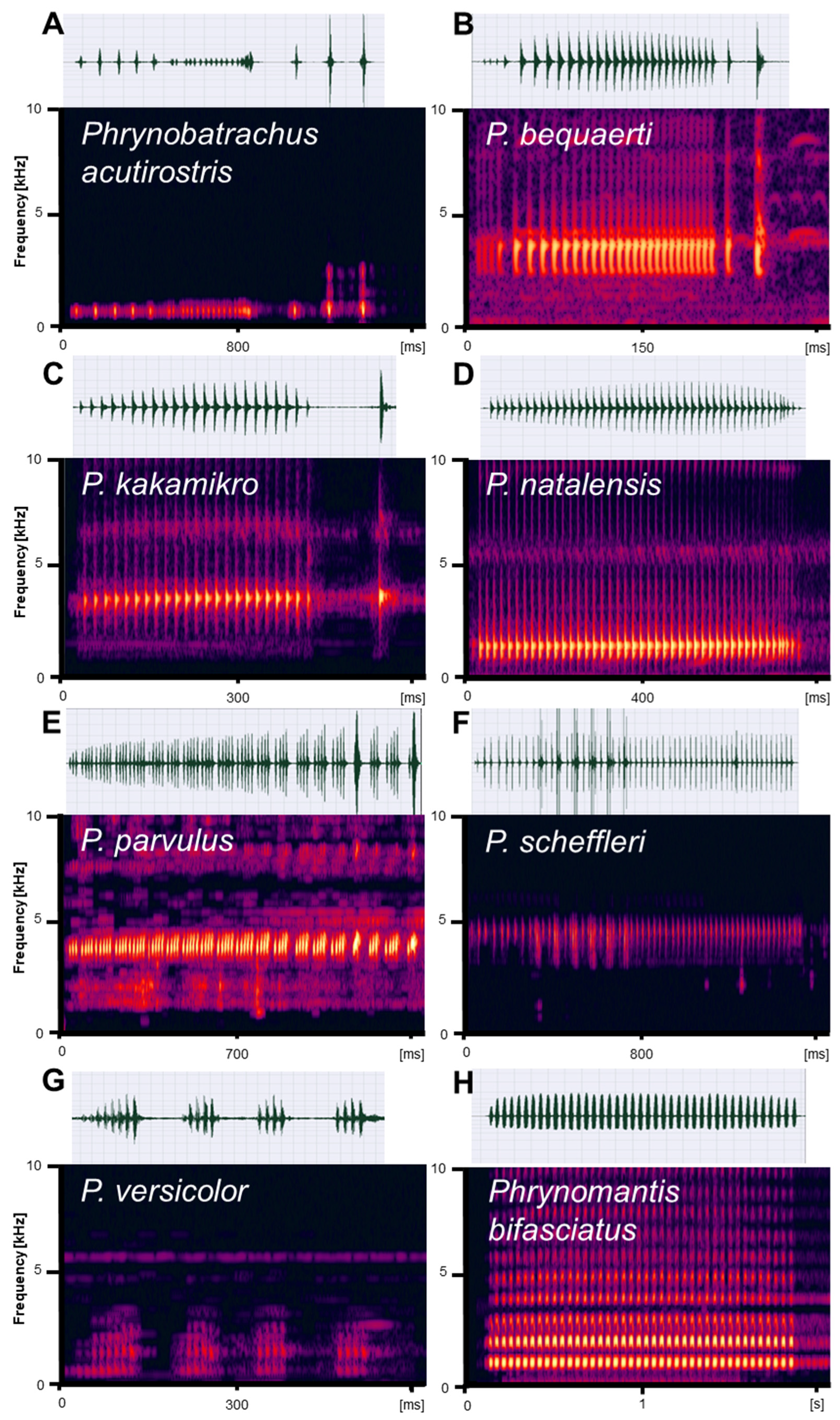 Diversity 15 00512 g011