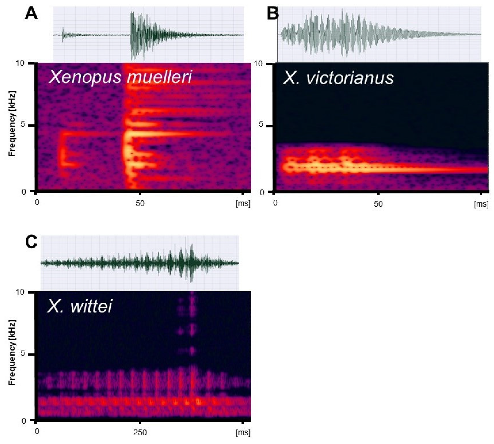 Diversity 15 00512 g013