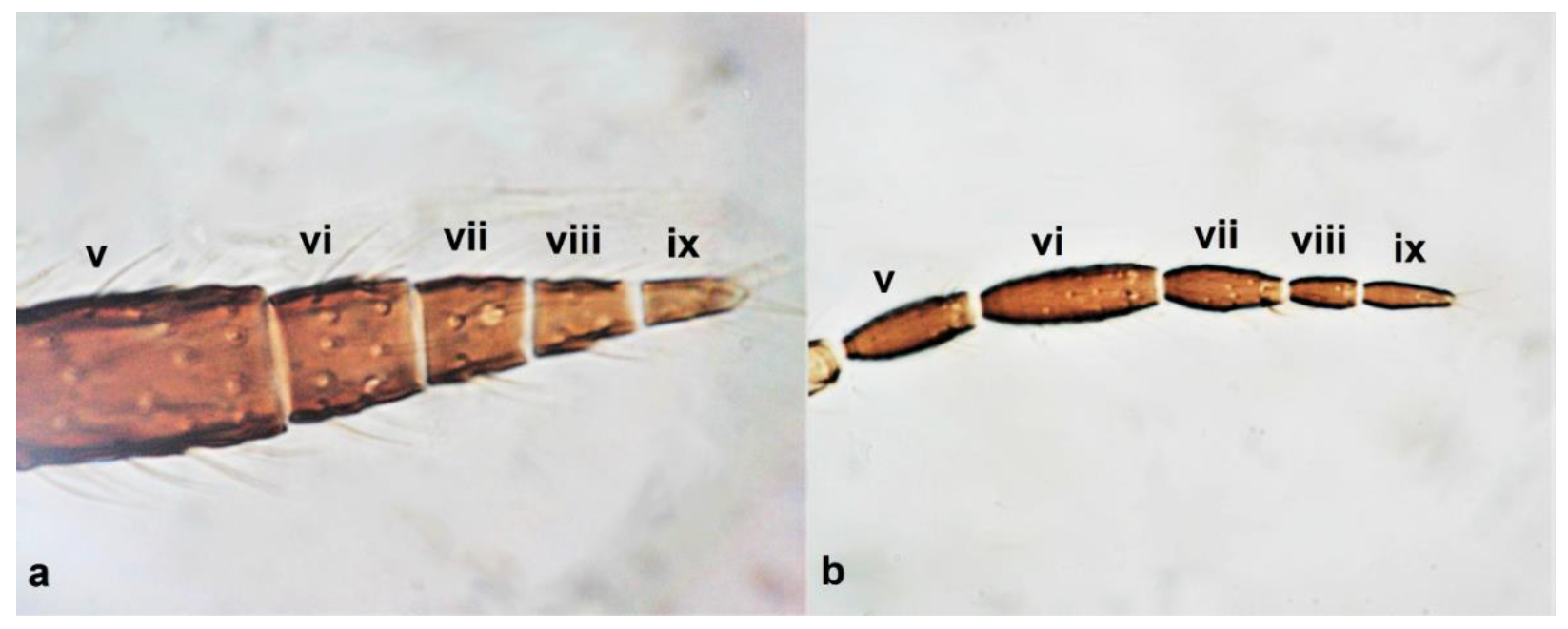 Diversity 15 00514 g004