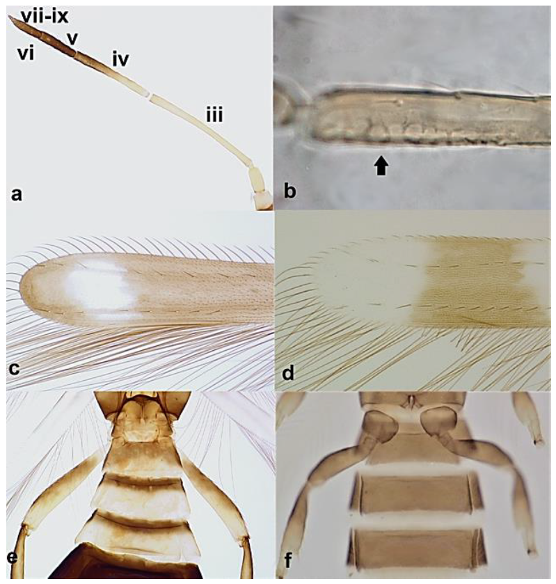 Diversity 15 00514 g005