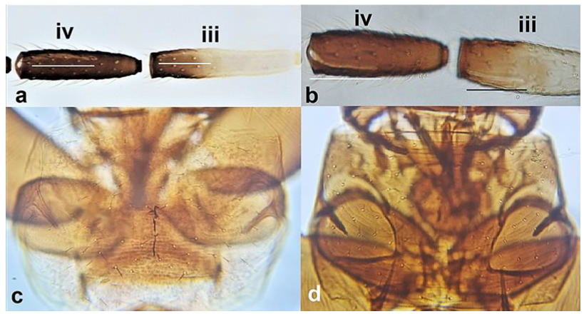 Diversity 15 00514 g009