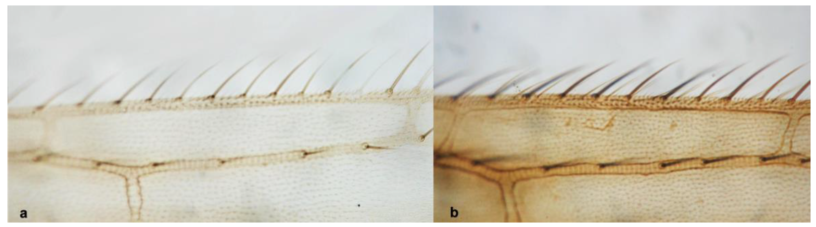 Diversity 15 00514 g014