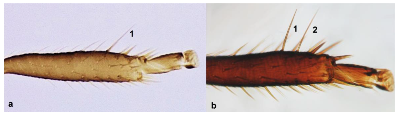Diversity 15 00514 g015