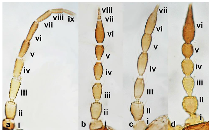 Diversity 15 00514 g016