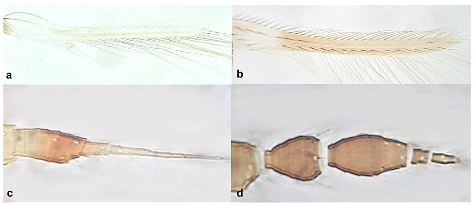 Diversity 15 00514 g018