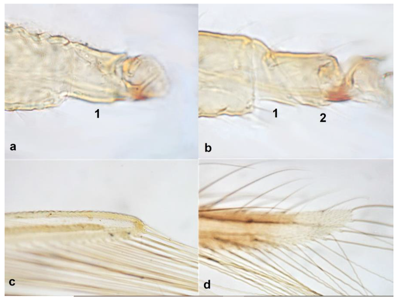Diversity 15 00514 g019