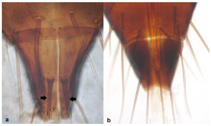 Diversity 15 00514 g022