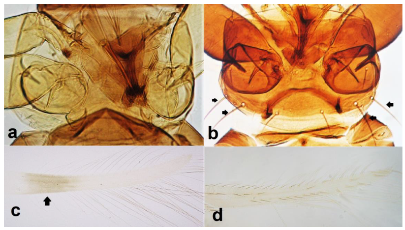Diversity 15 00514 g027