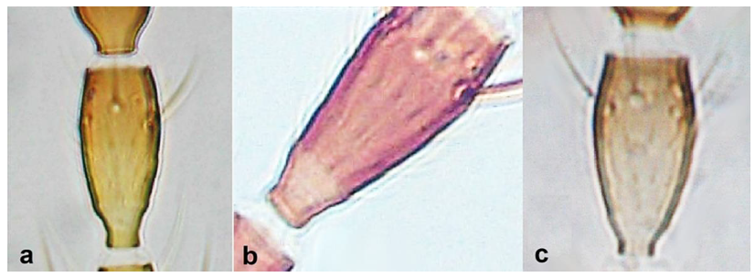 Diversity 15 00514 g028