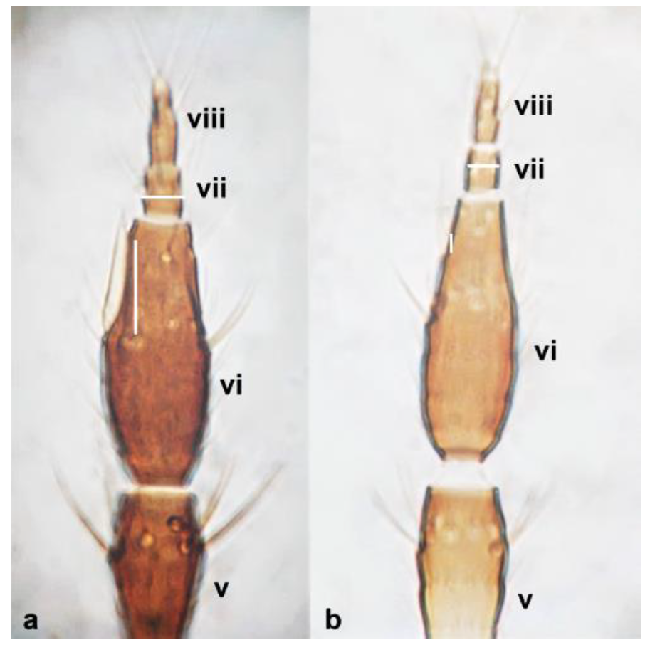 Diversity 15 00514 g030