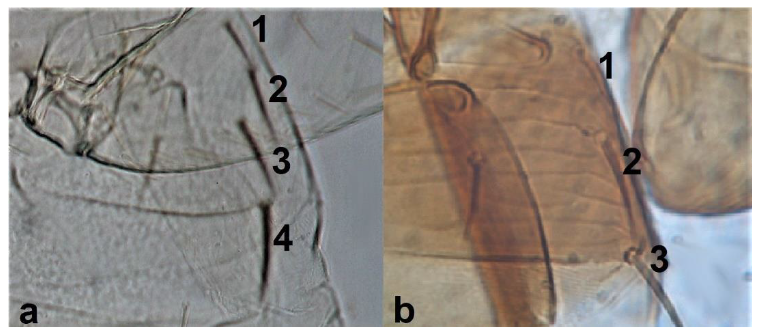 Diversity 15 00514 g036