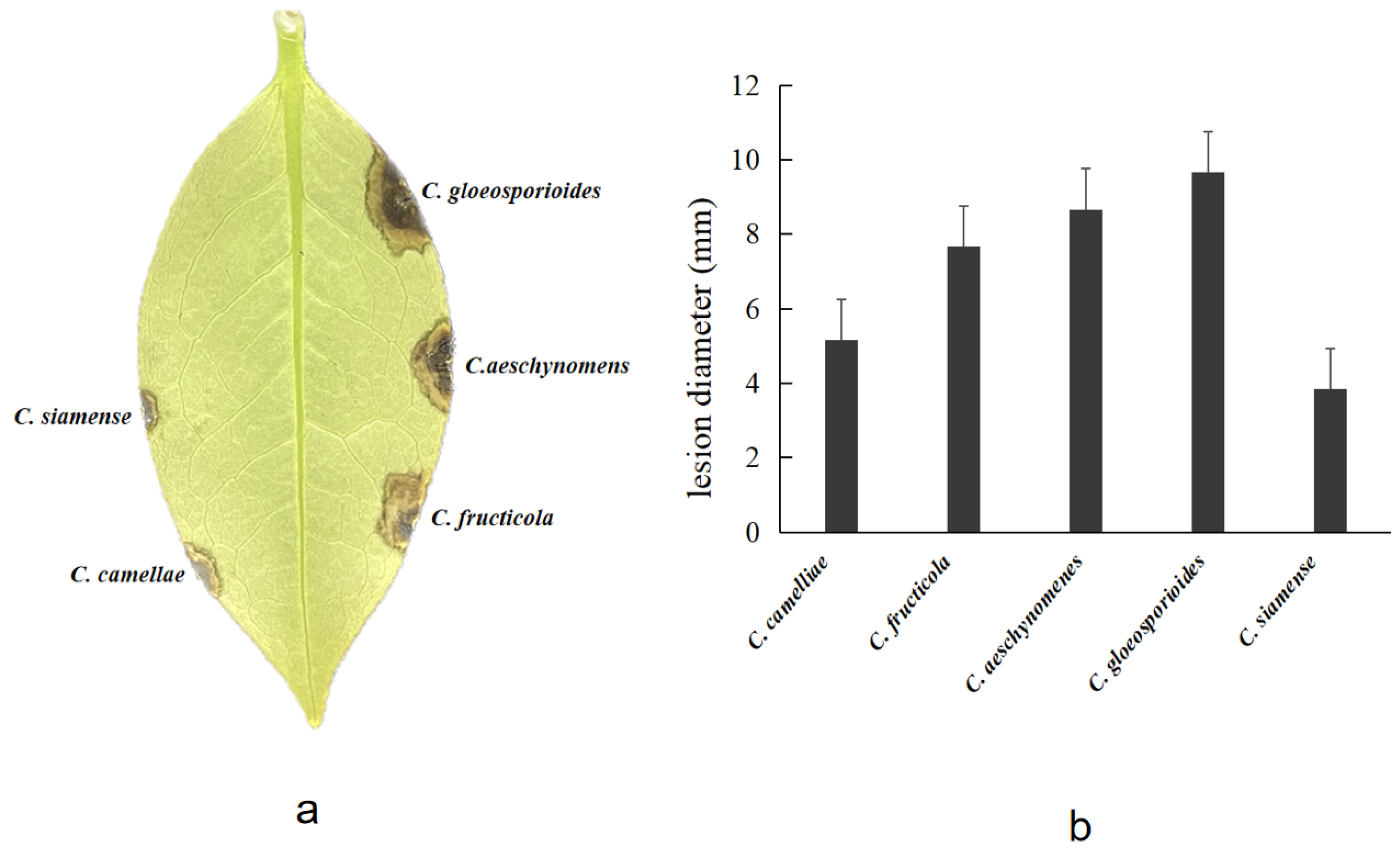 Diversity 15 00516 g008 Diversity 15 00516 g008