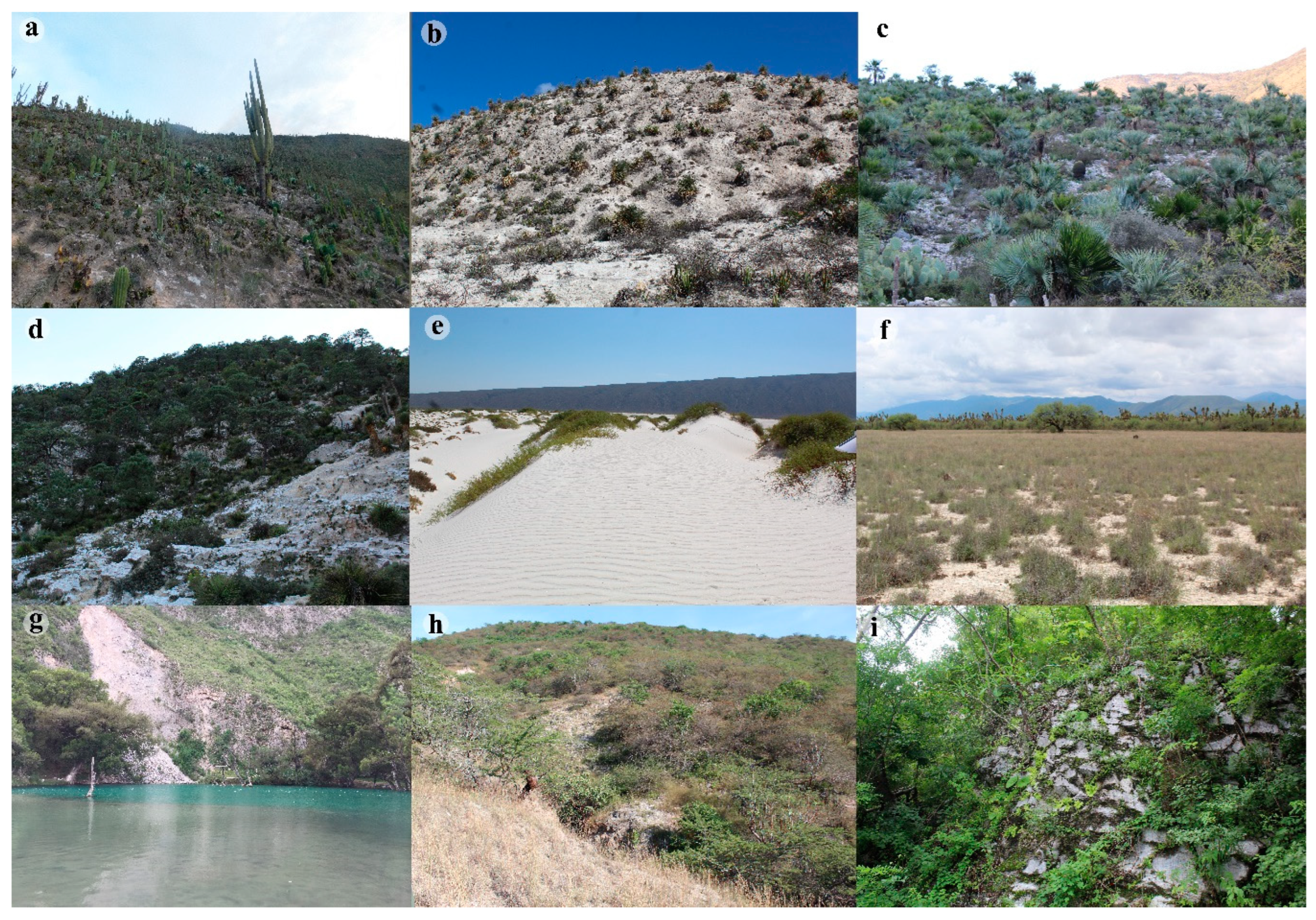 Diversity 15 00522 g001 Diversity 15 00522 g001