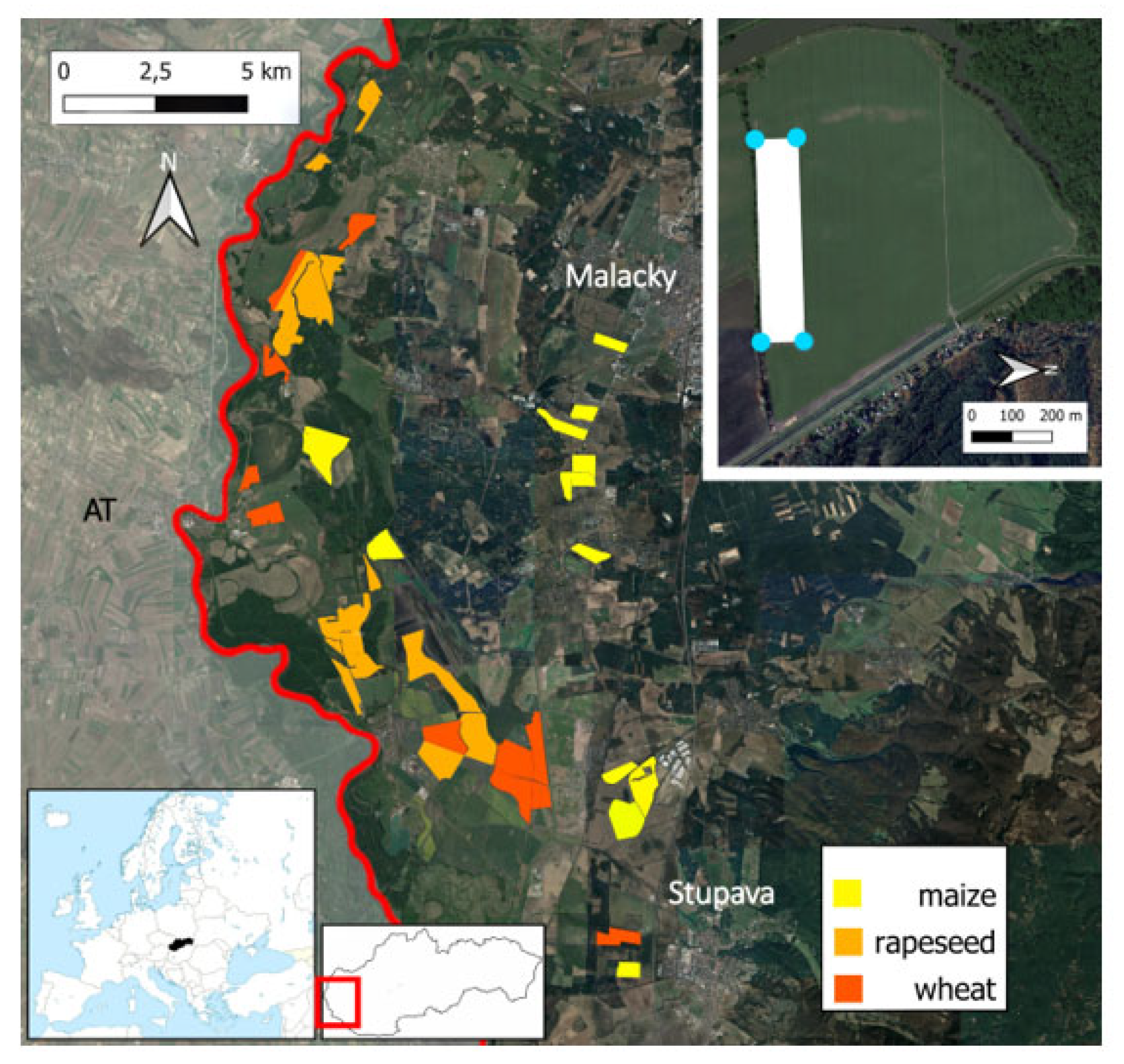 Diversity 15 00524 g001 Diversity 15 00524 g001
