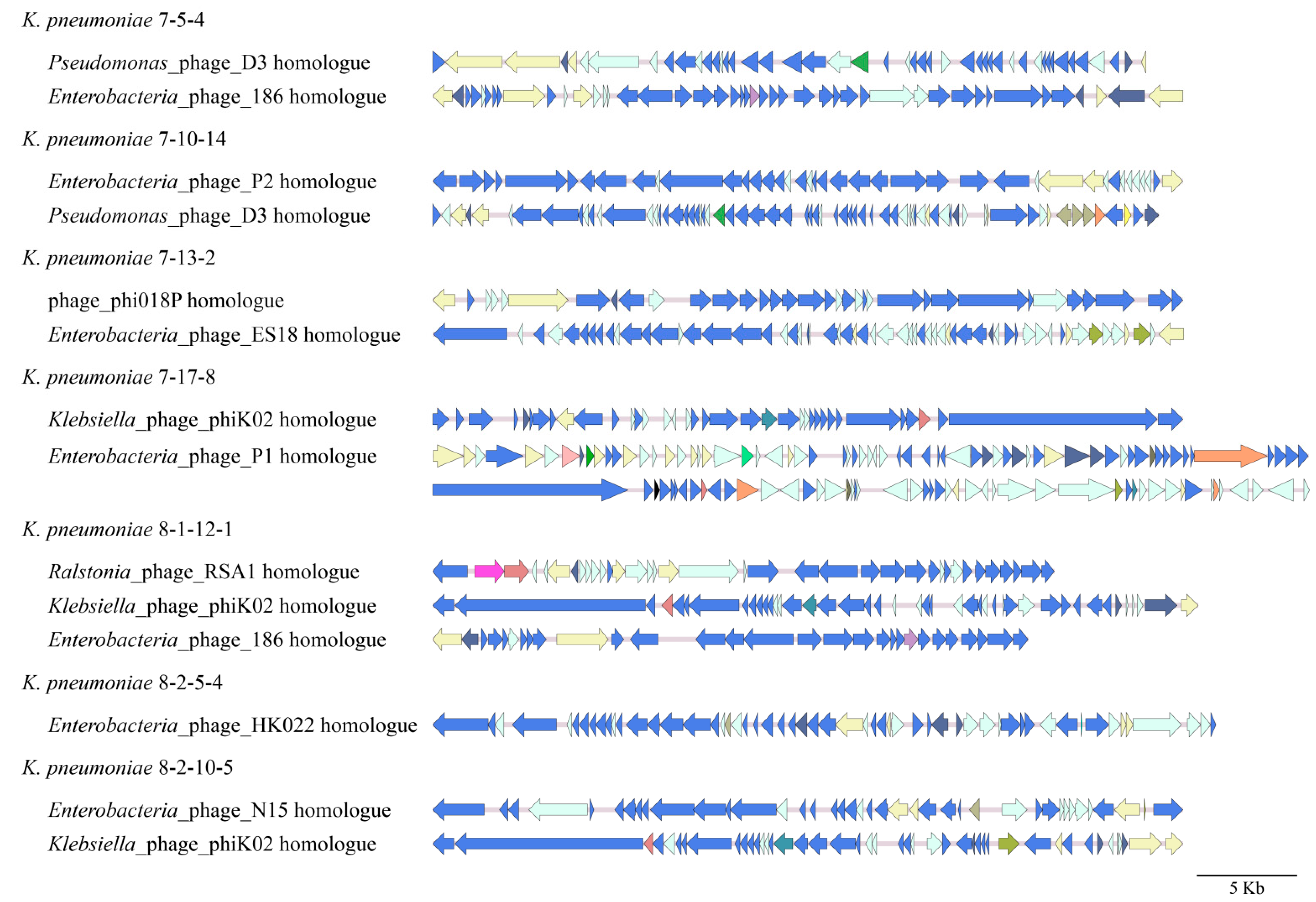 Diversity 15 00527 g004 Diversity 15 00527 g004