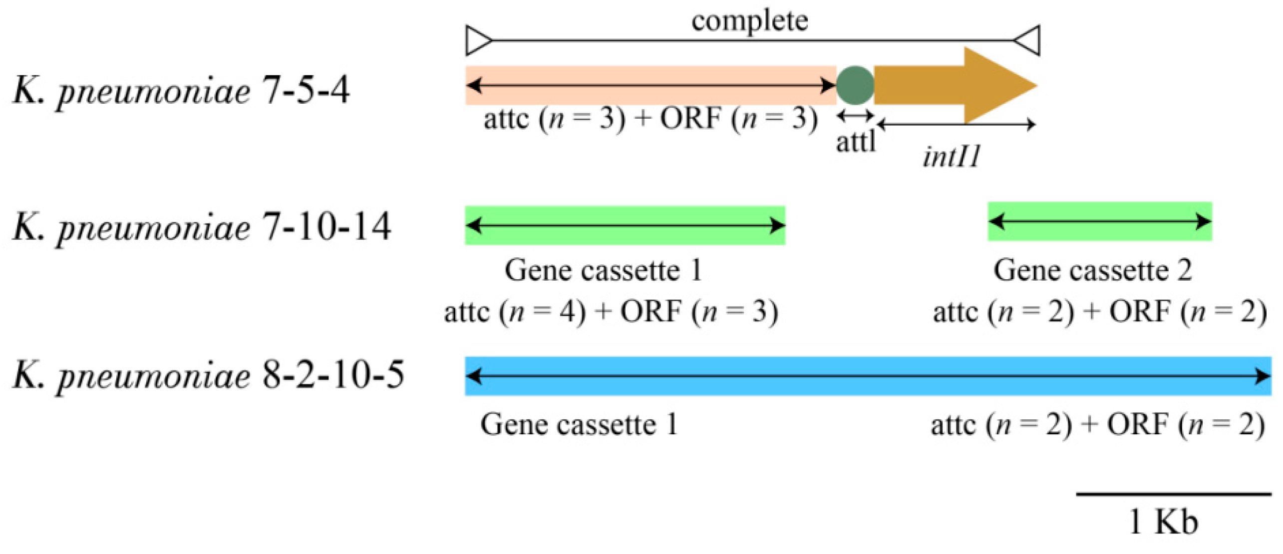 Diversity 15 00527 g005 Diversity 15 00527 g005