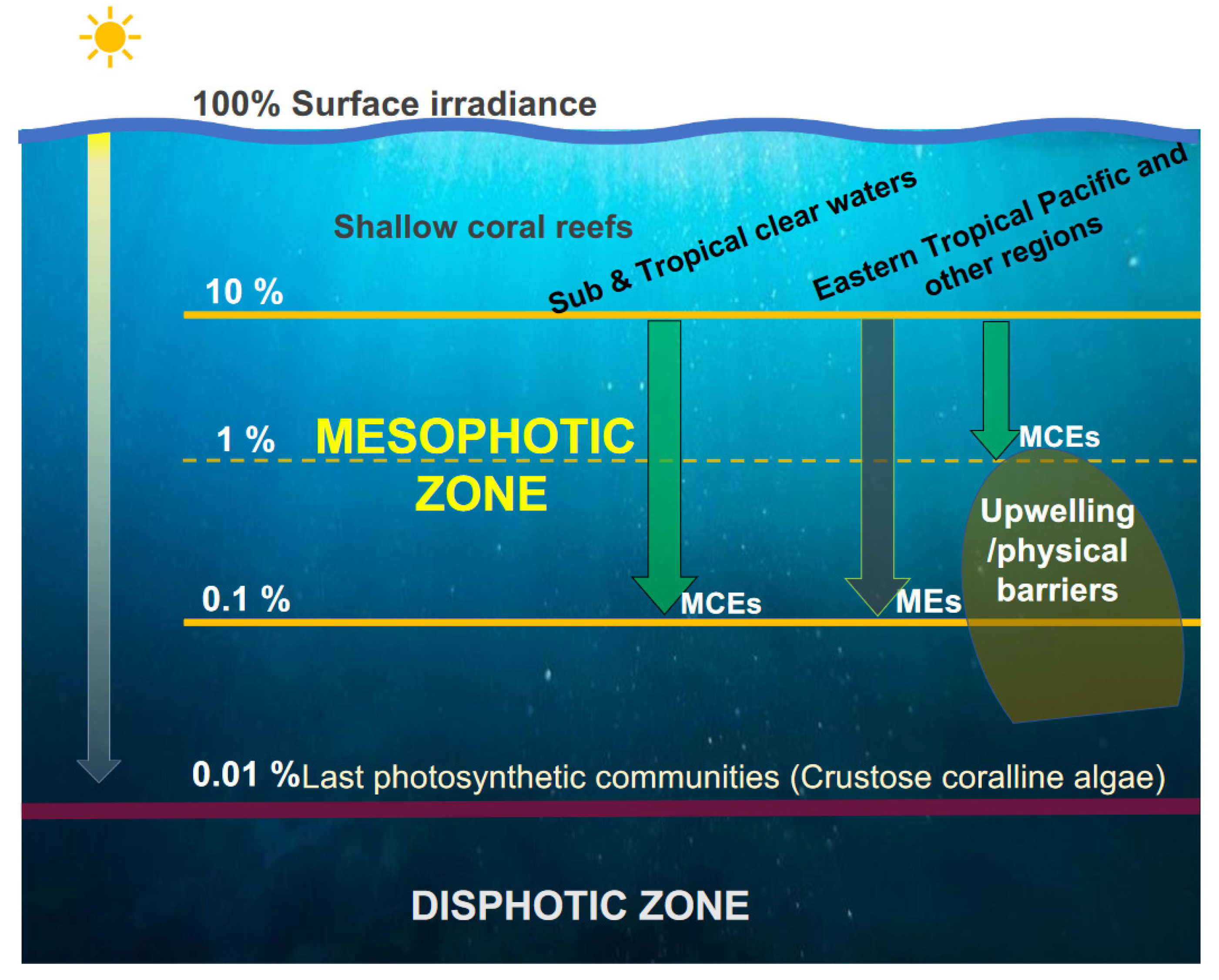 Diversity 15 00531 g008