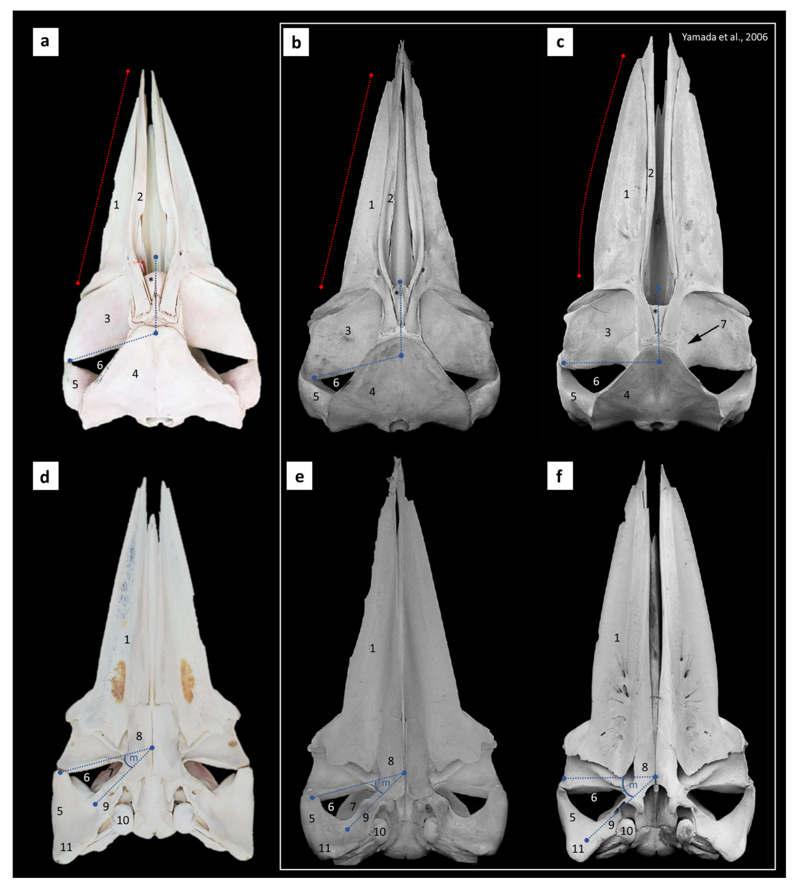 Diversity 15 00532 g003