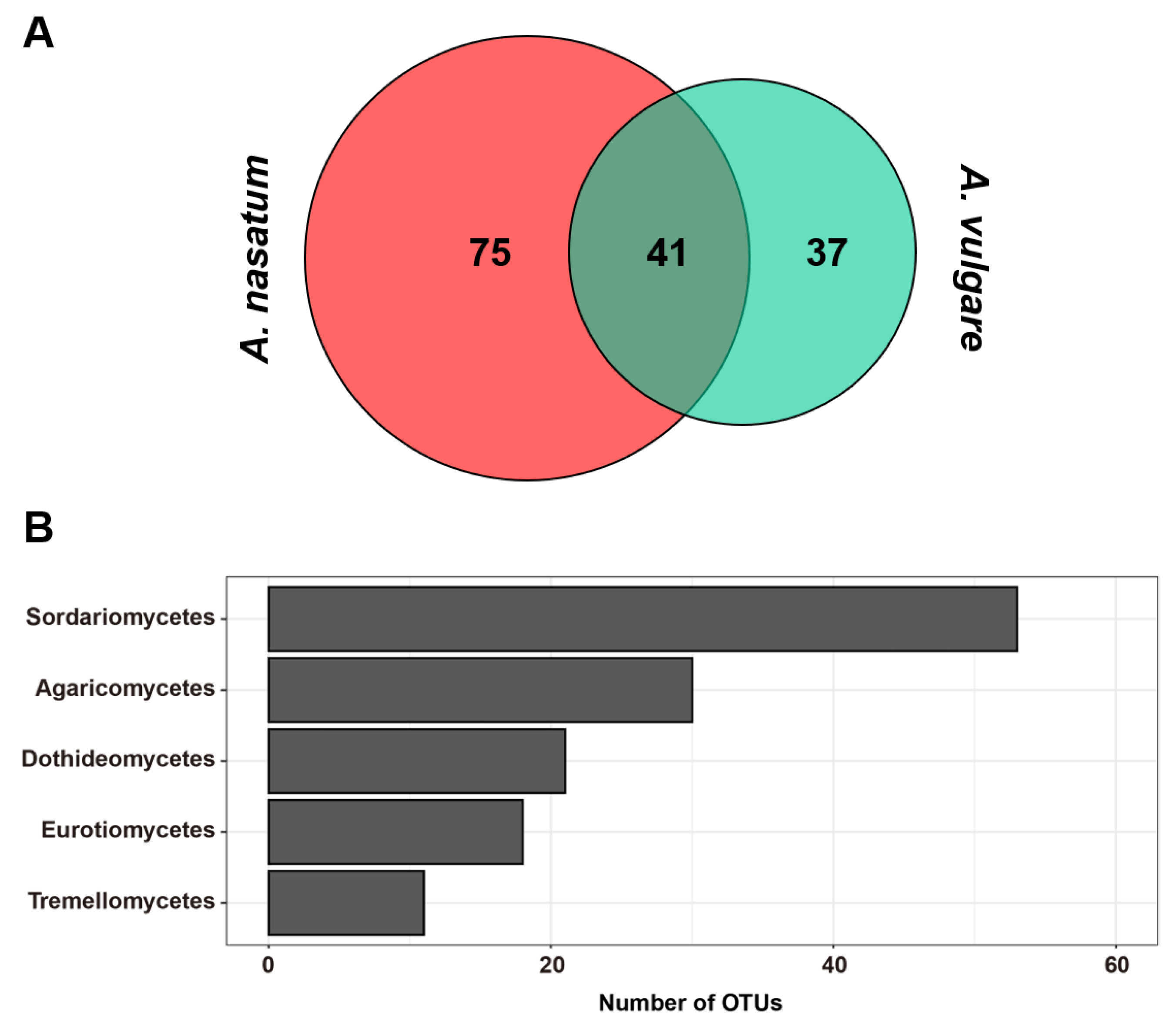 Diversity 15 00533 g001
