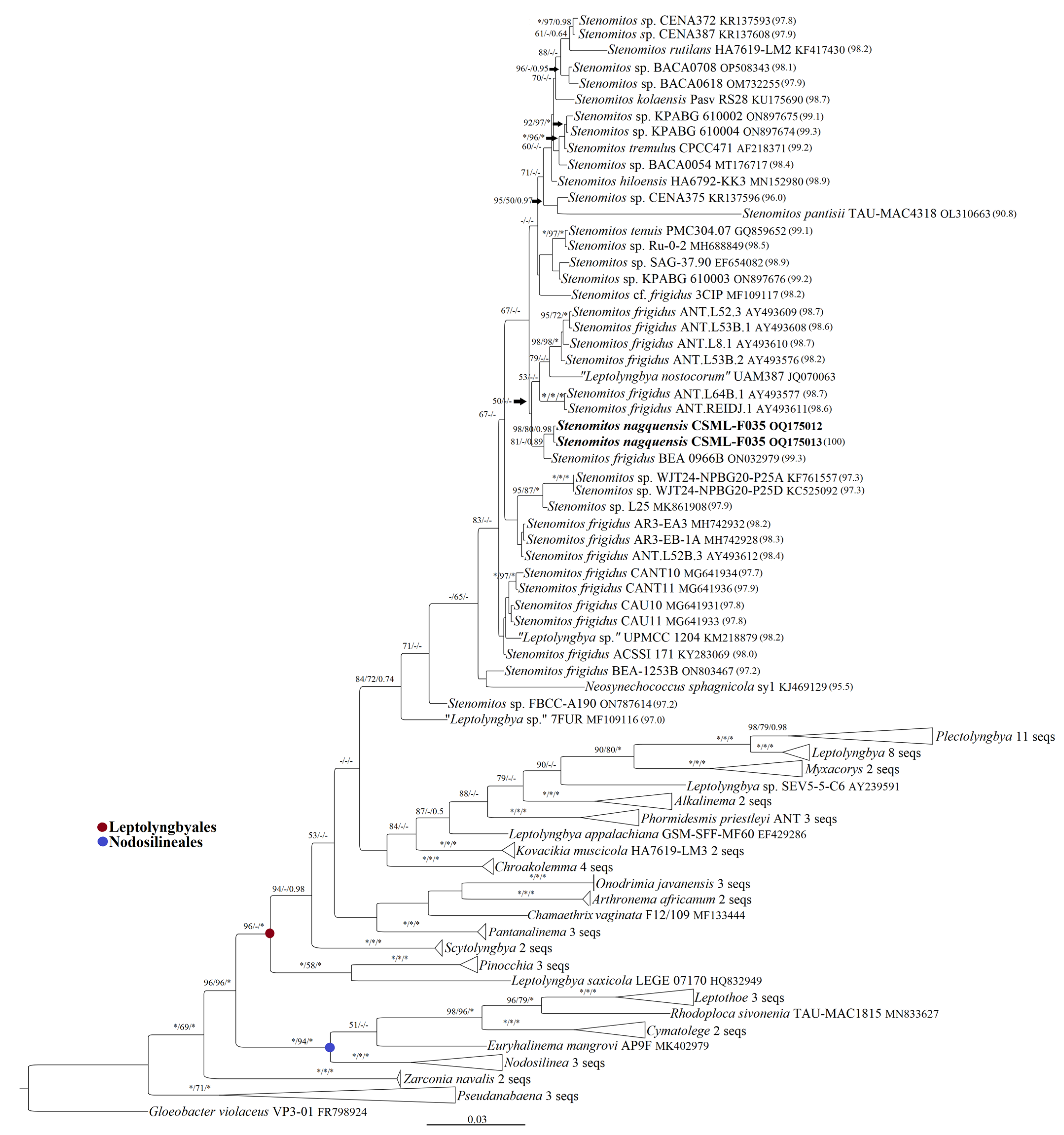 Diversity 15 00536 g004