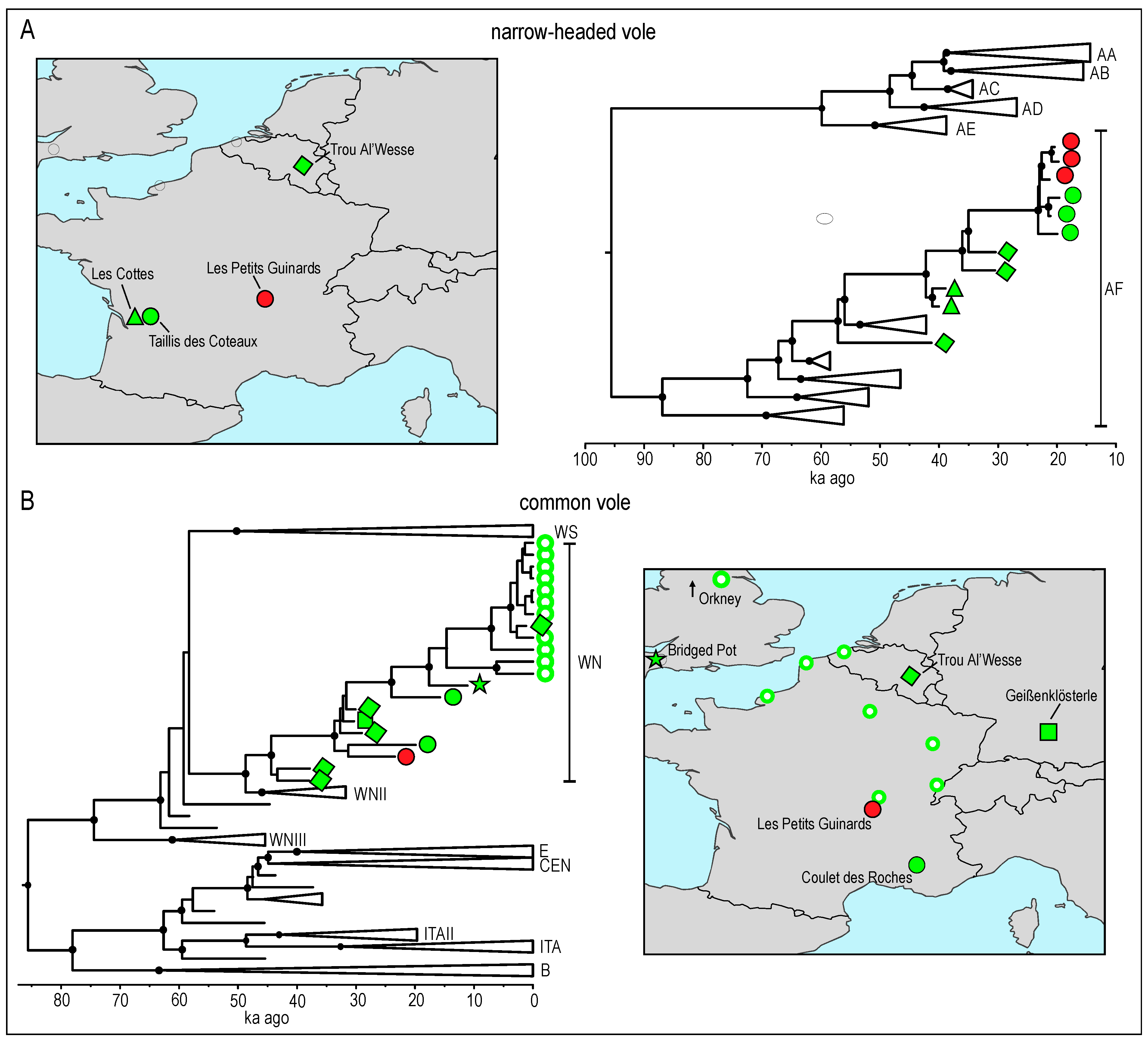 Diversity 15 00538 g003
