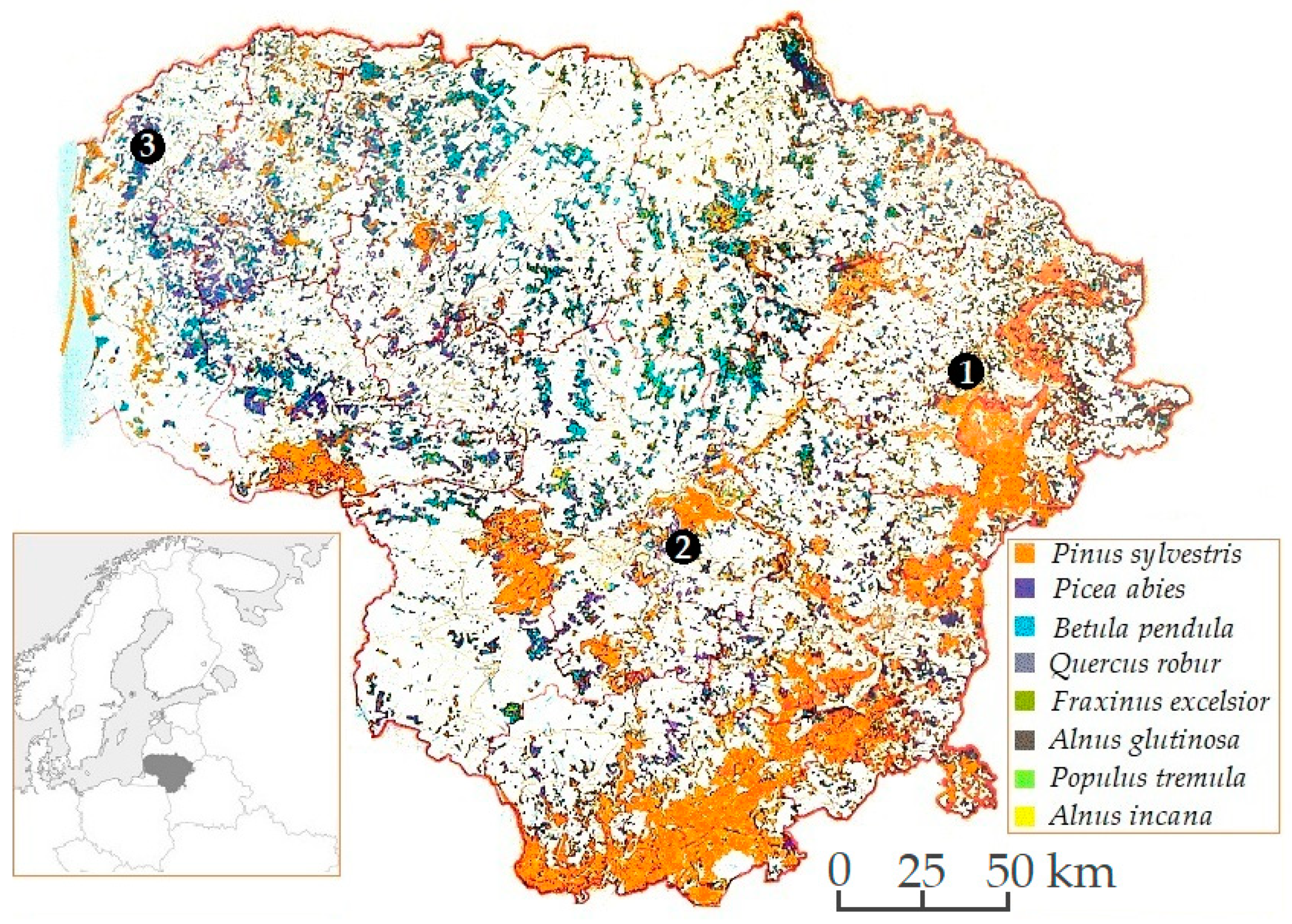 Diversity 15 00539 g001