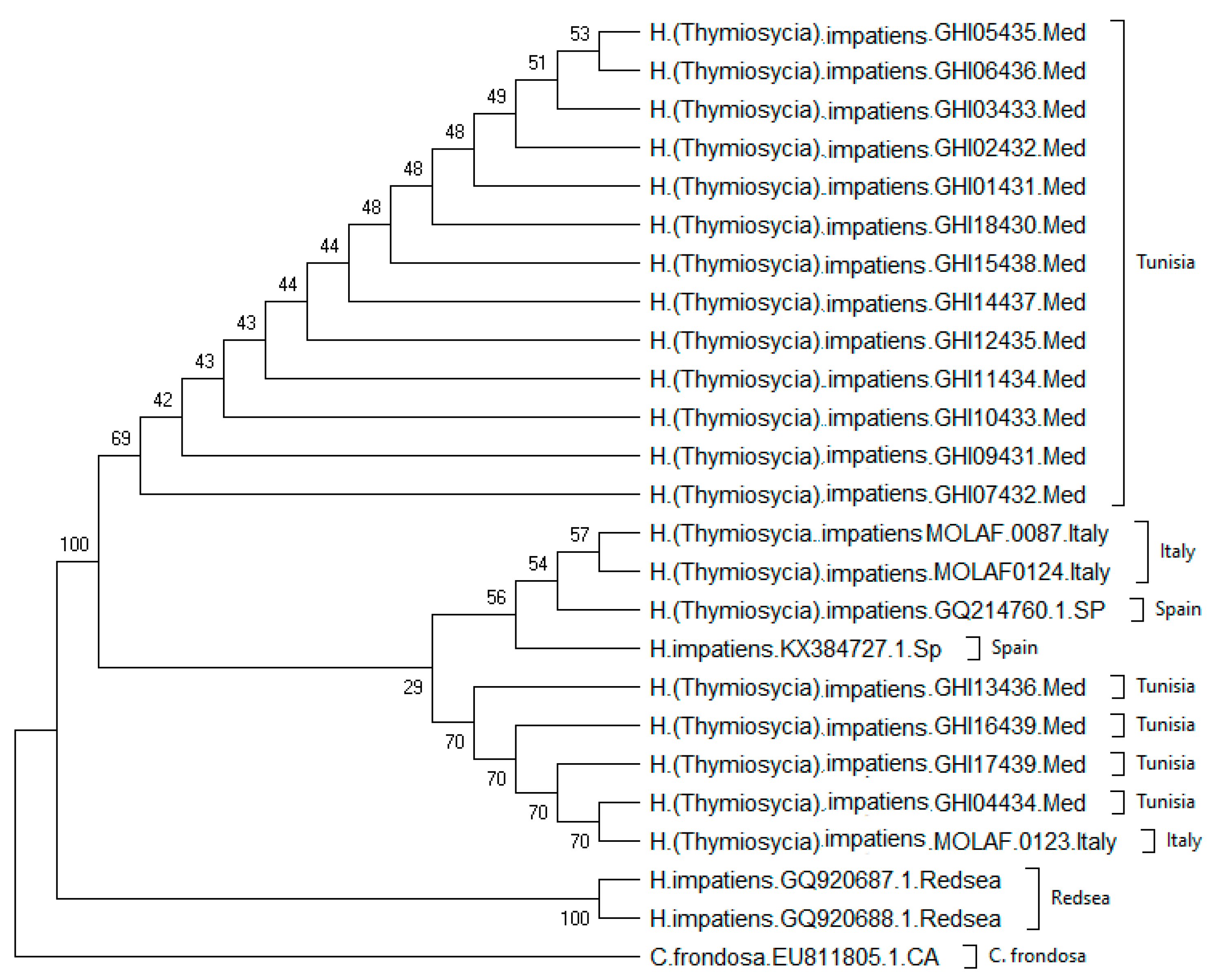 Diversity 15 00542 g003