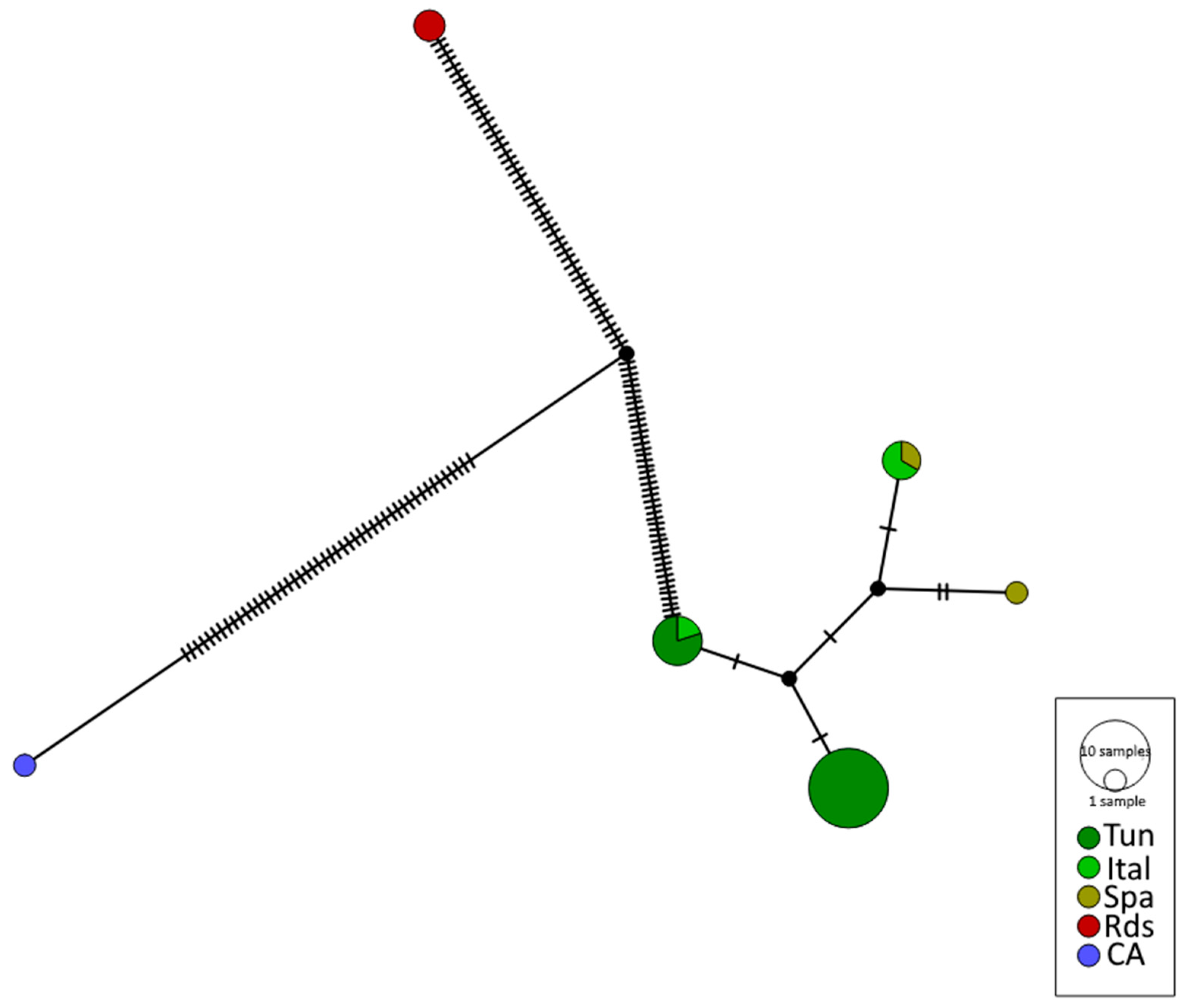 Diversity 15 00542 g004