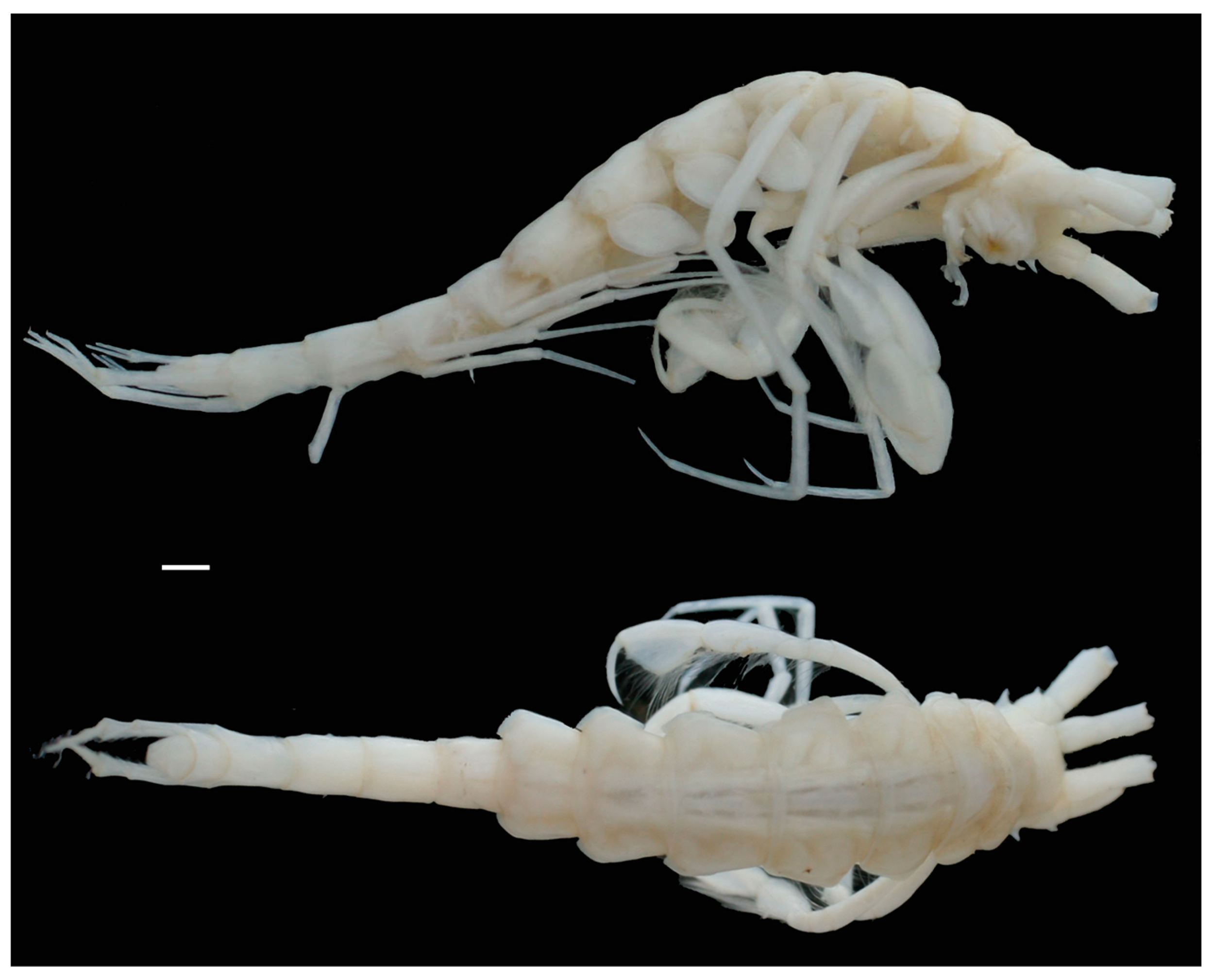 Diversity 15 00546 g002