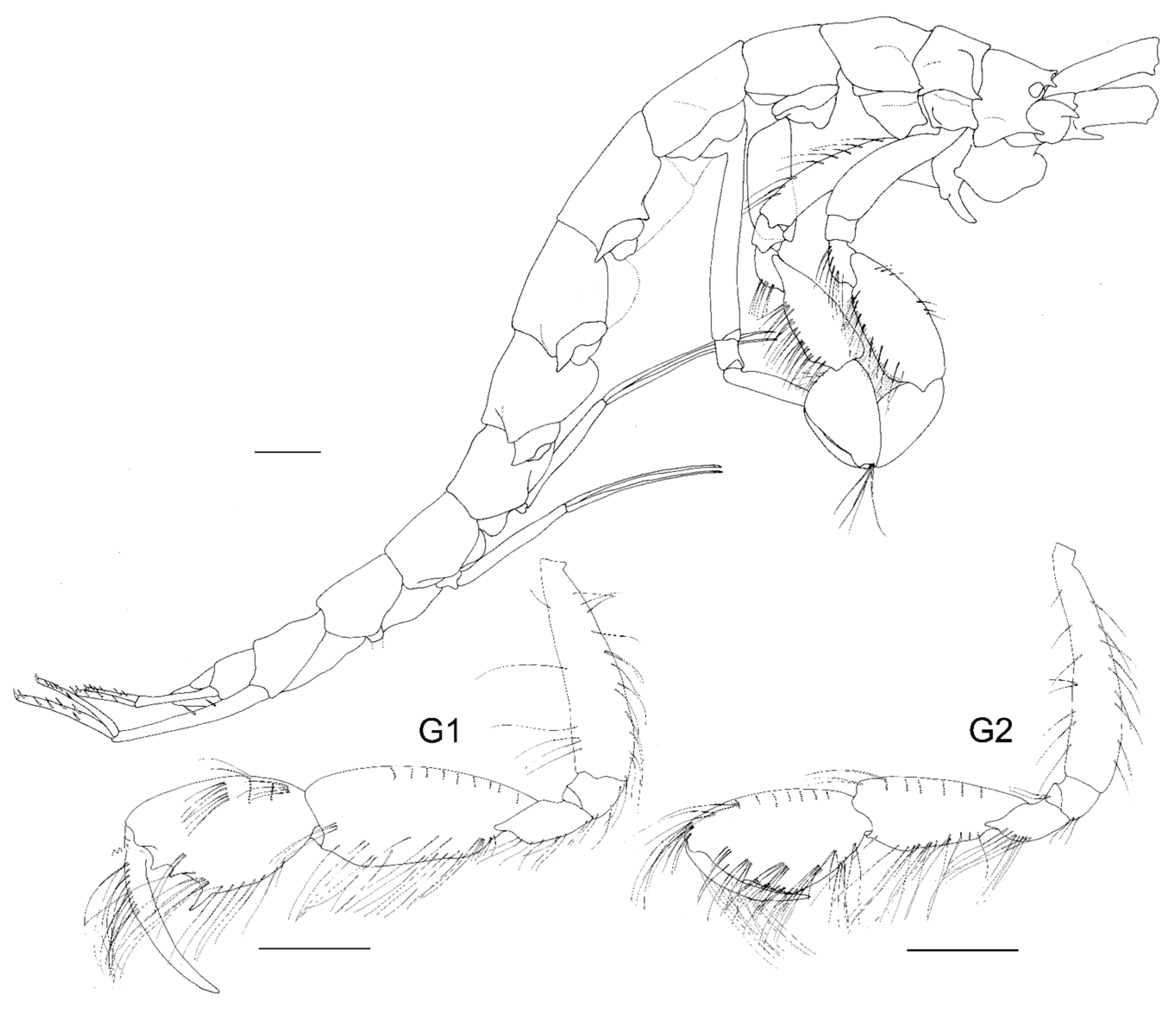 Diversity 15 00546 g003
